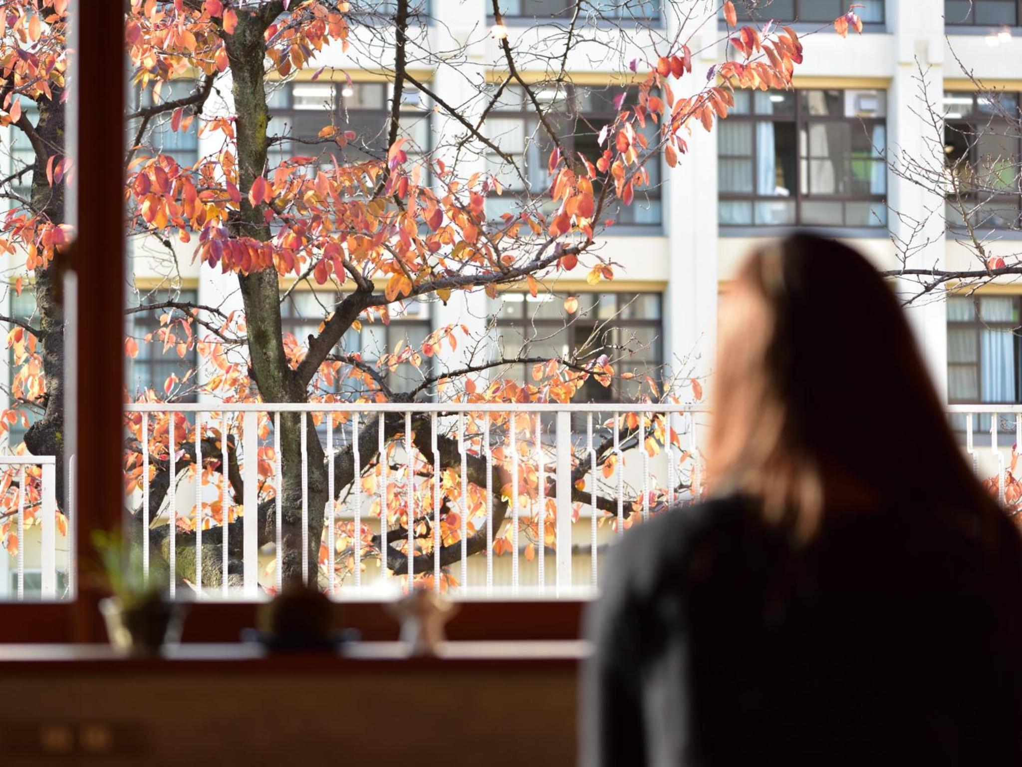 Hostel Mitsuwaya Osaka