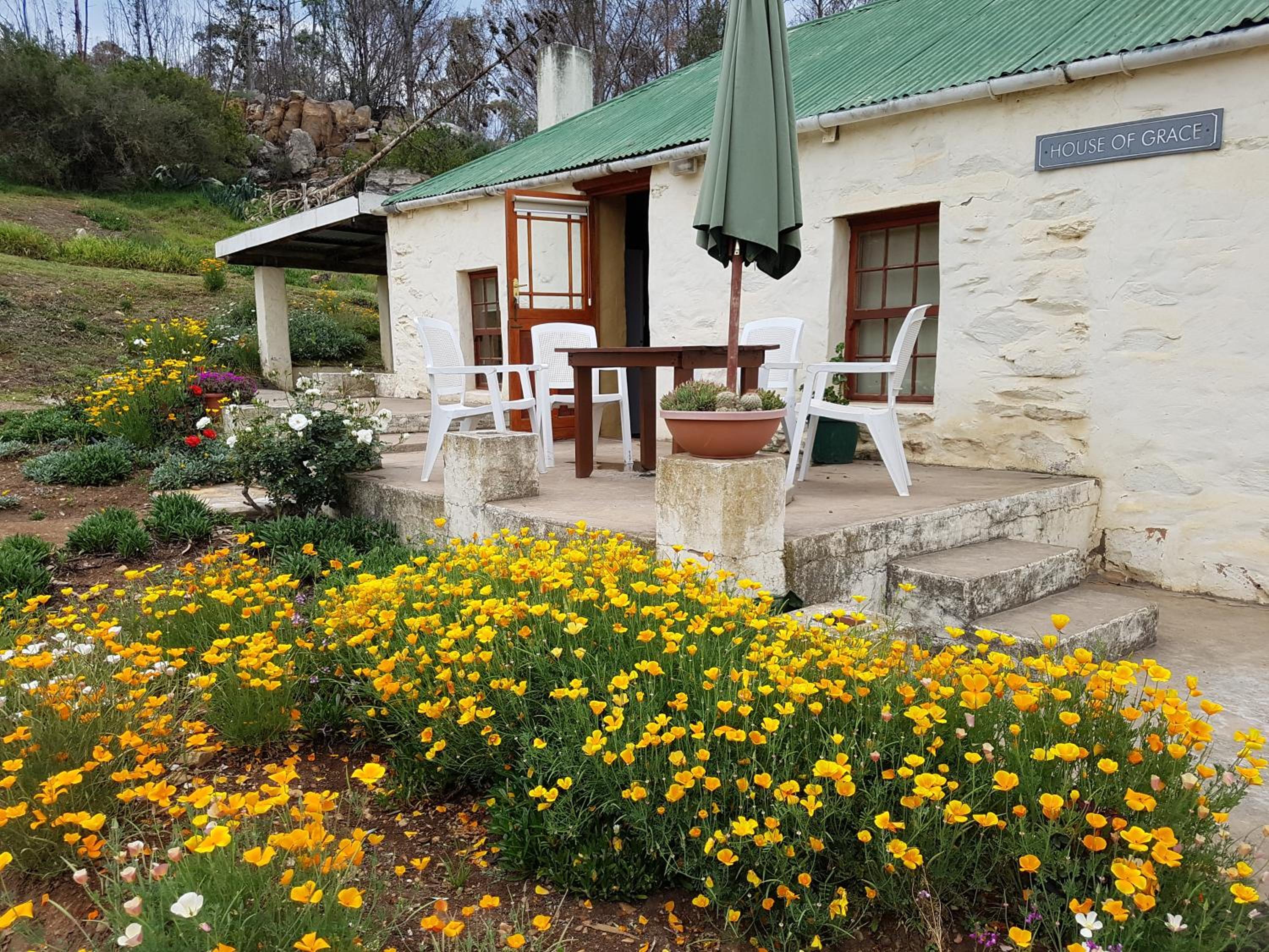 Over The Mountain Guest Farm