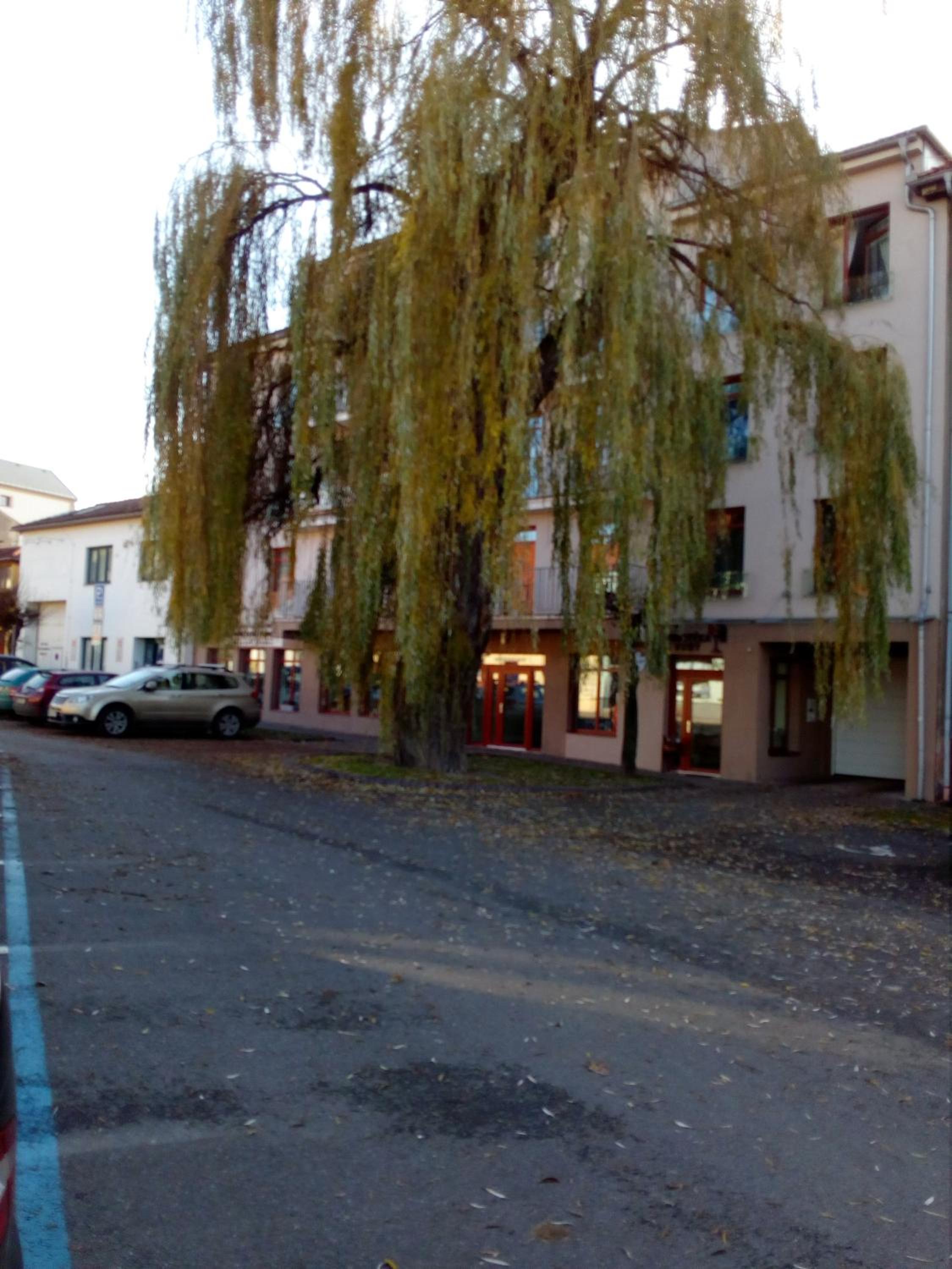 Photo 42