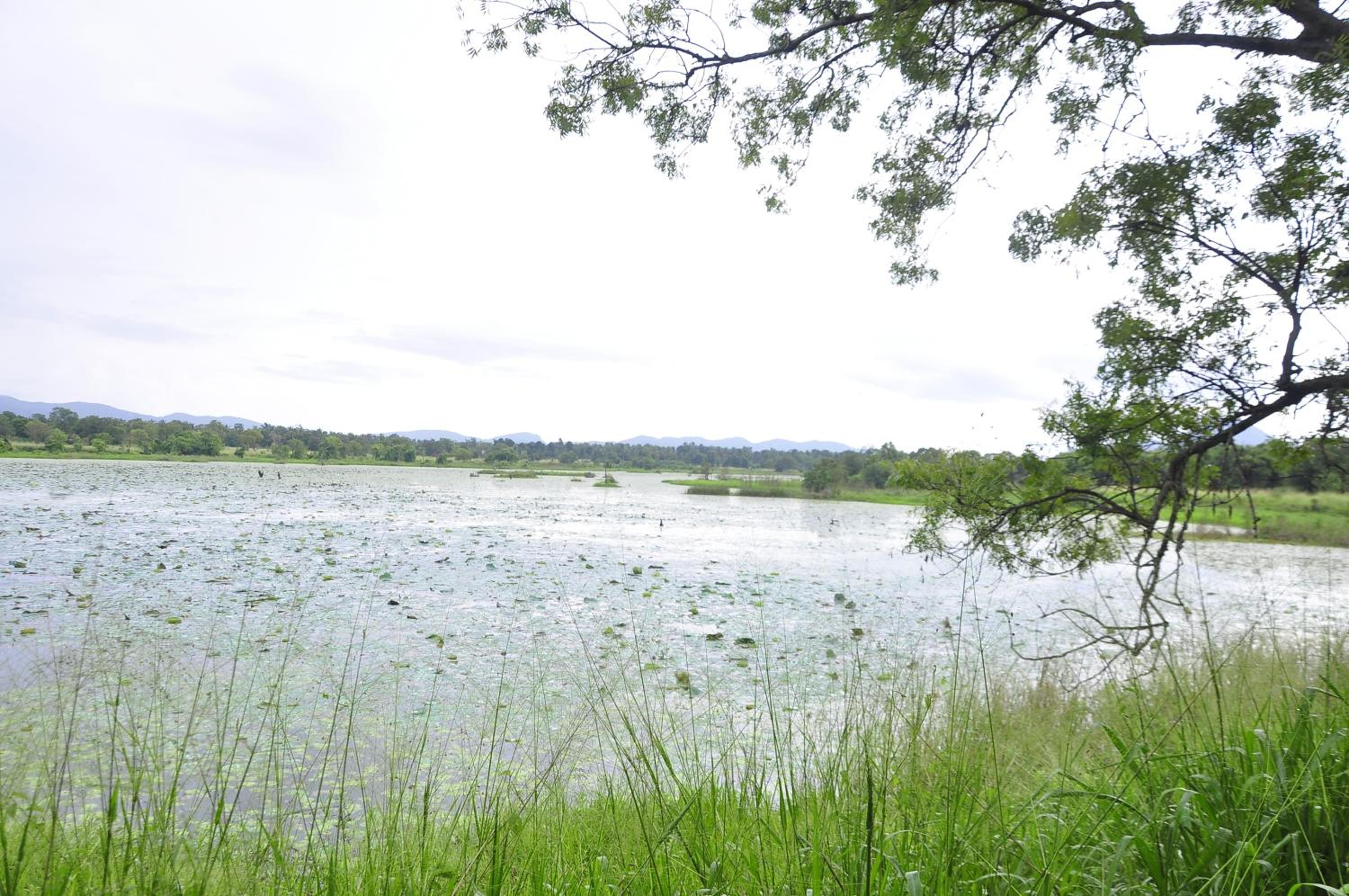 Rock Lake Home Stay