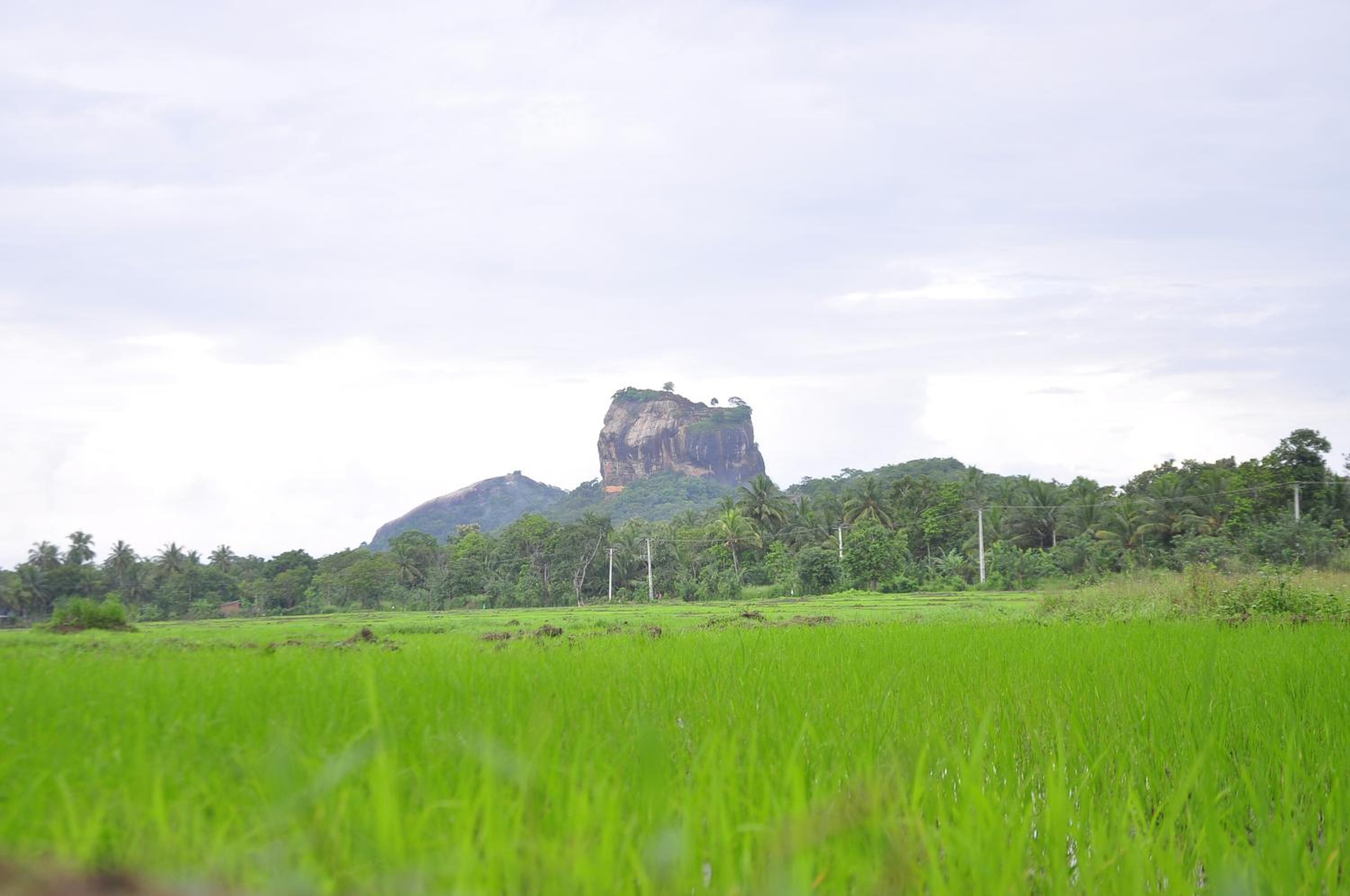 Rock Lake Home Stay
