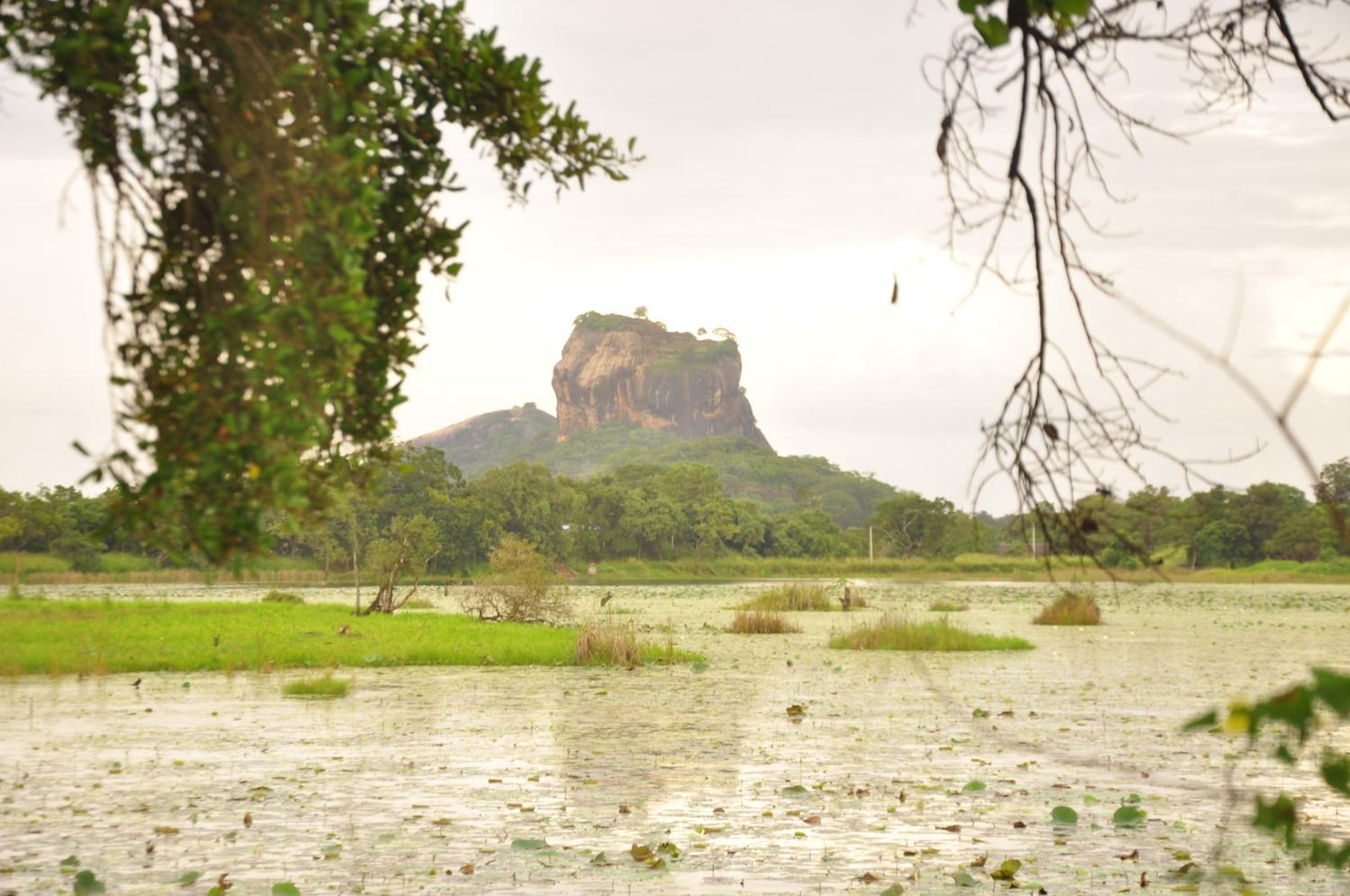 Rock Lake Home Stay