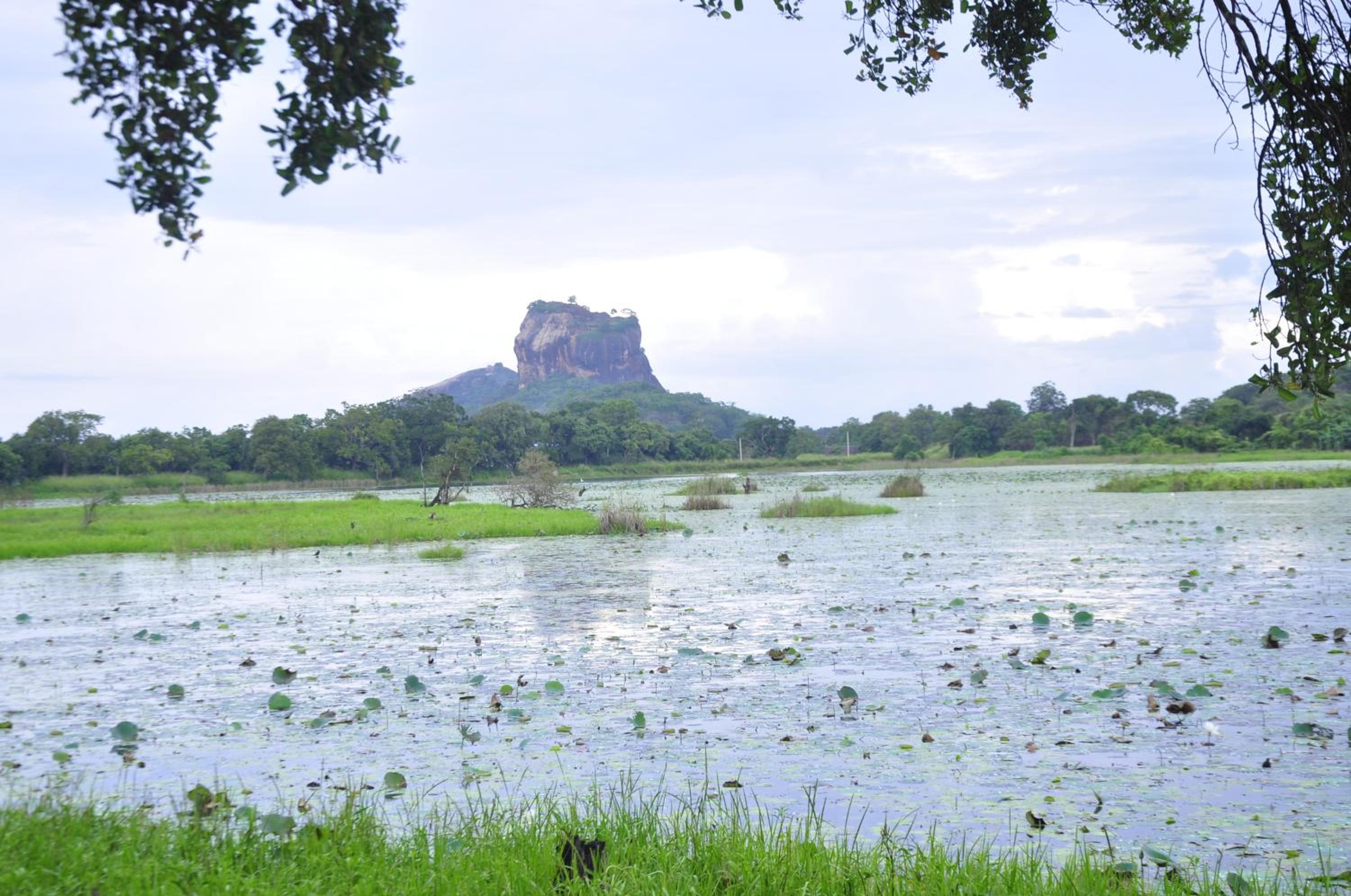 Rock Lake Home Stay