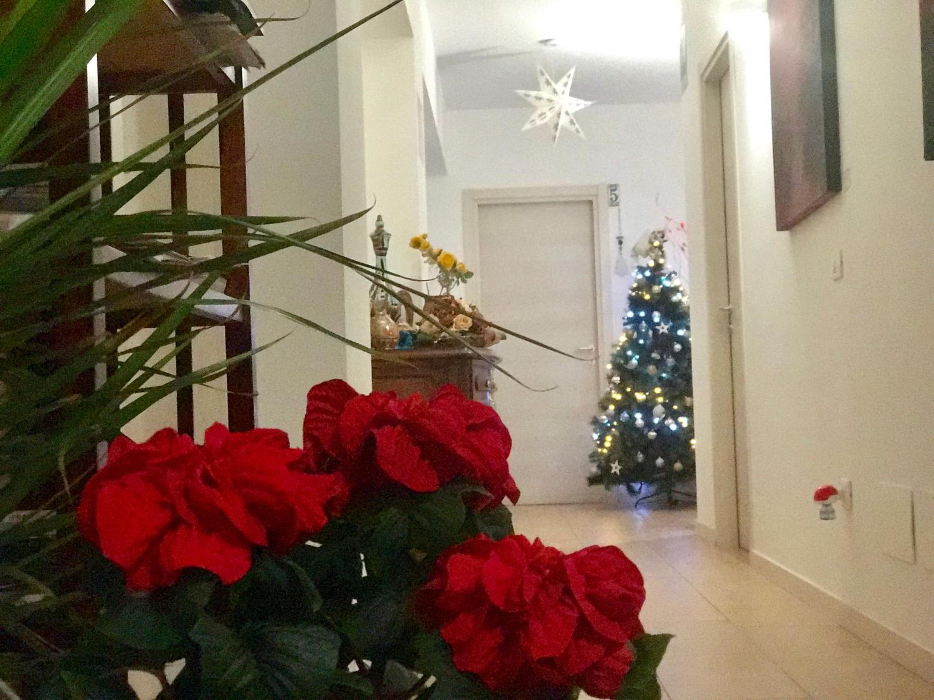 LeAlbe di Sicilia