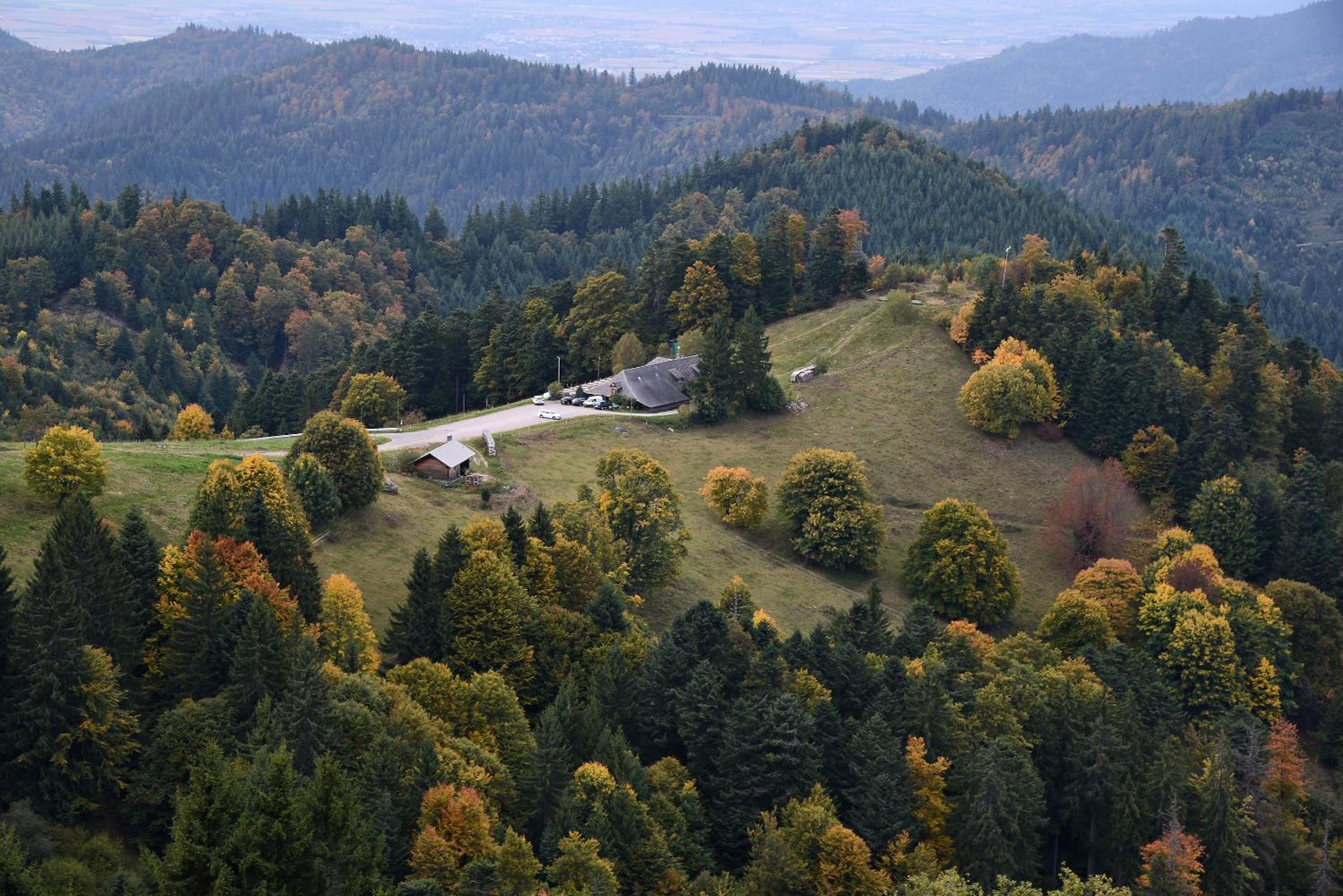 Am Paradies