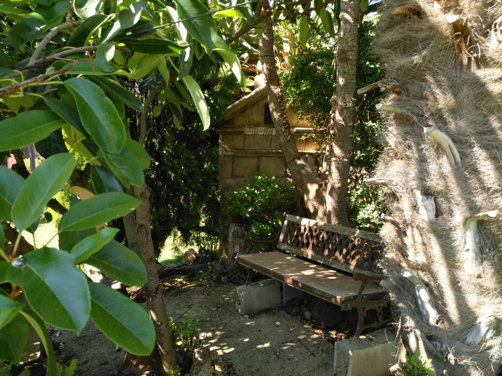 Photo 11