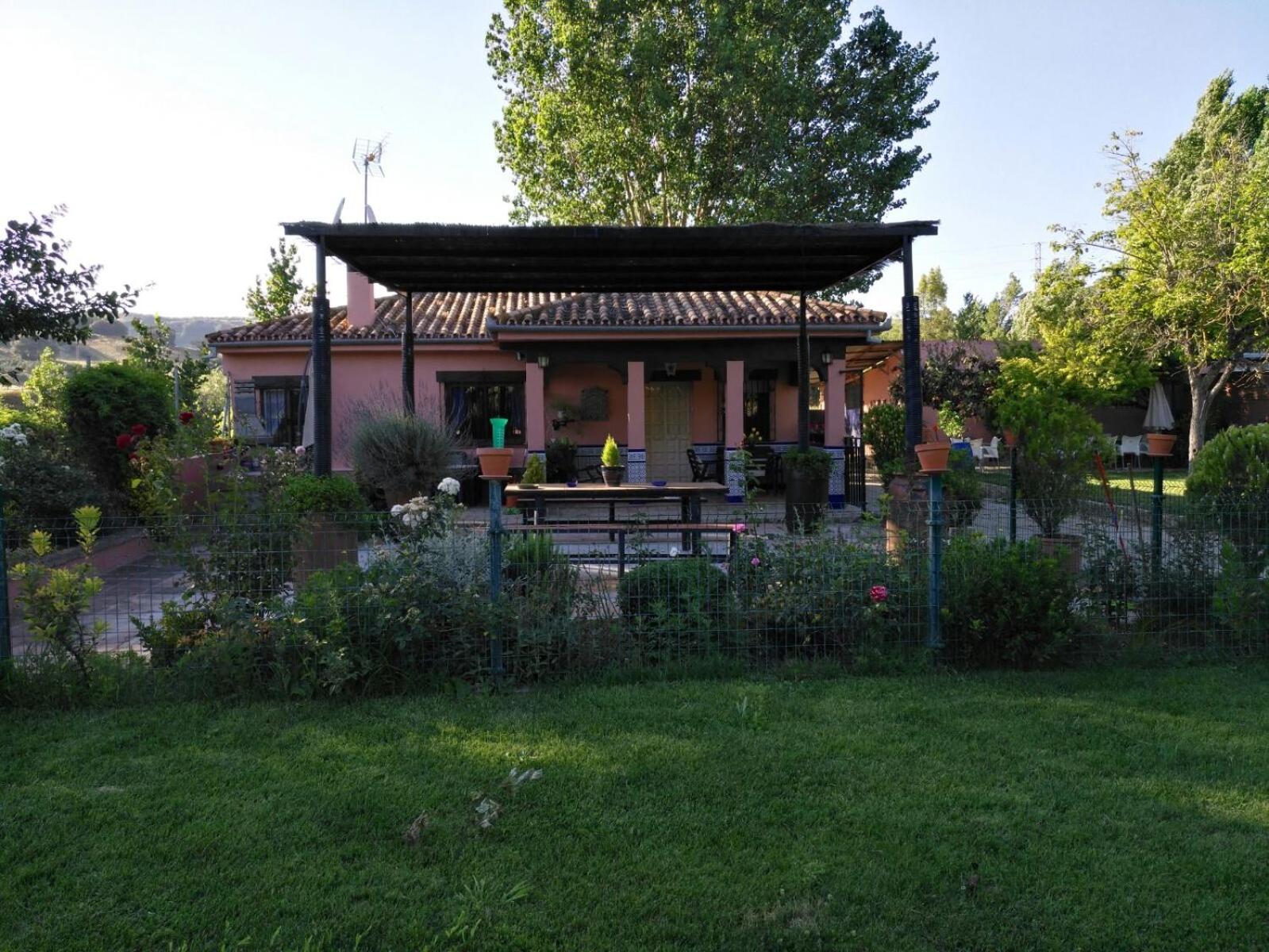 Photo 12