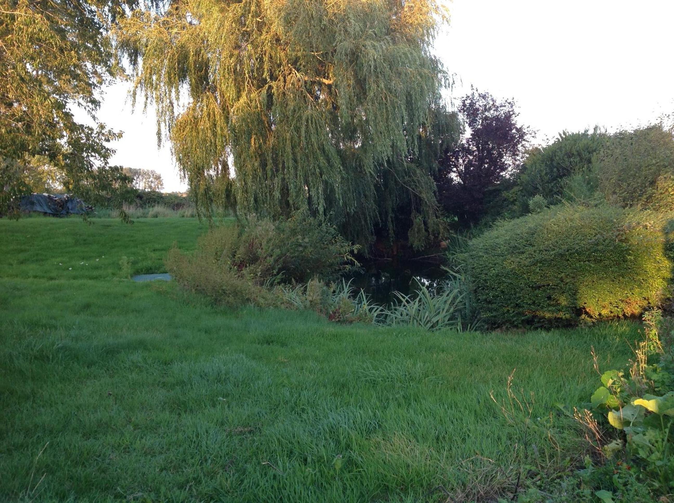 Photo 22