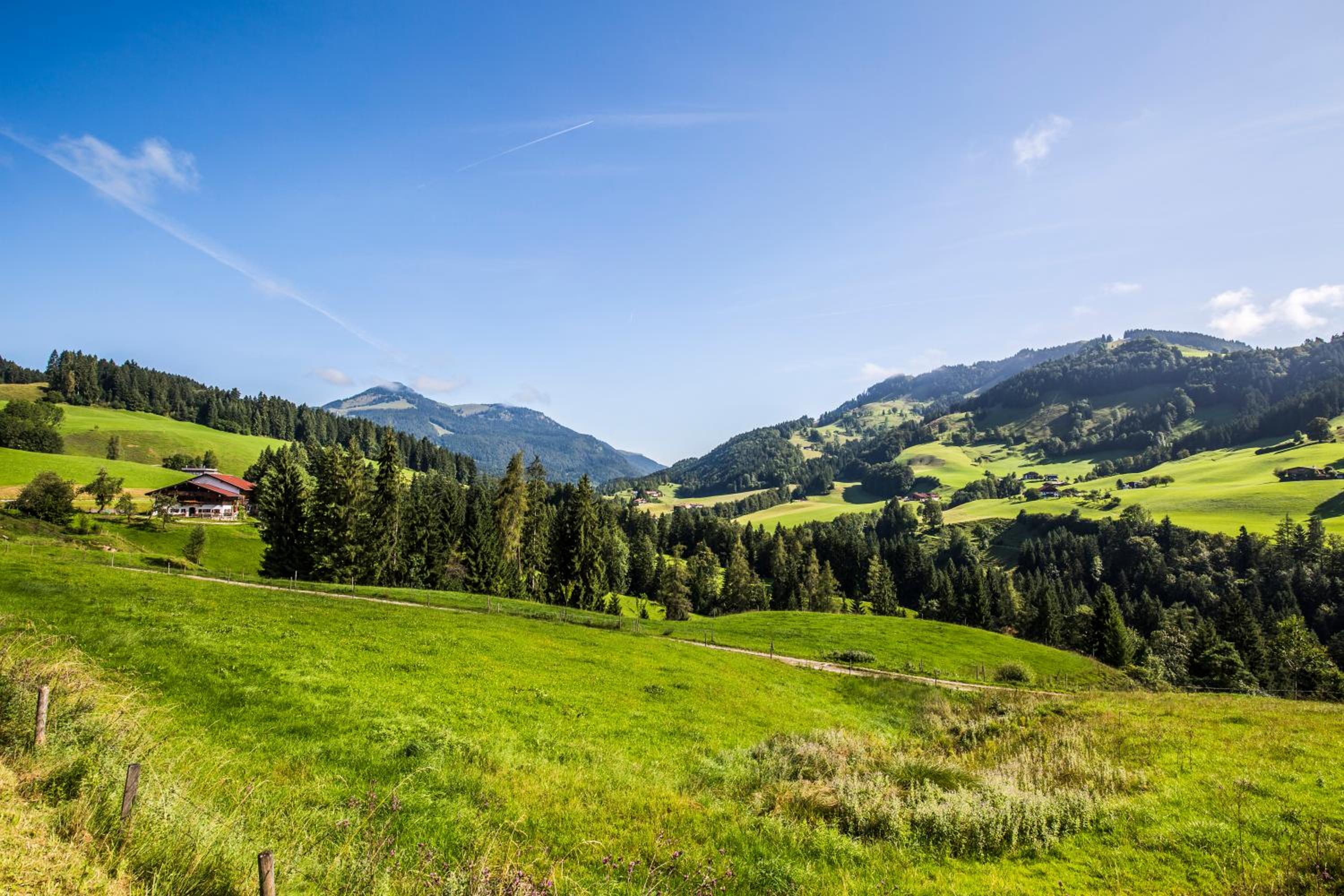 Wimmerhof