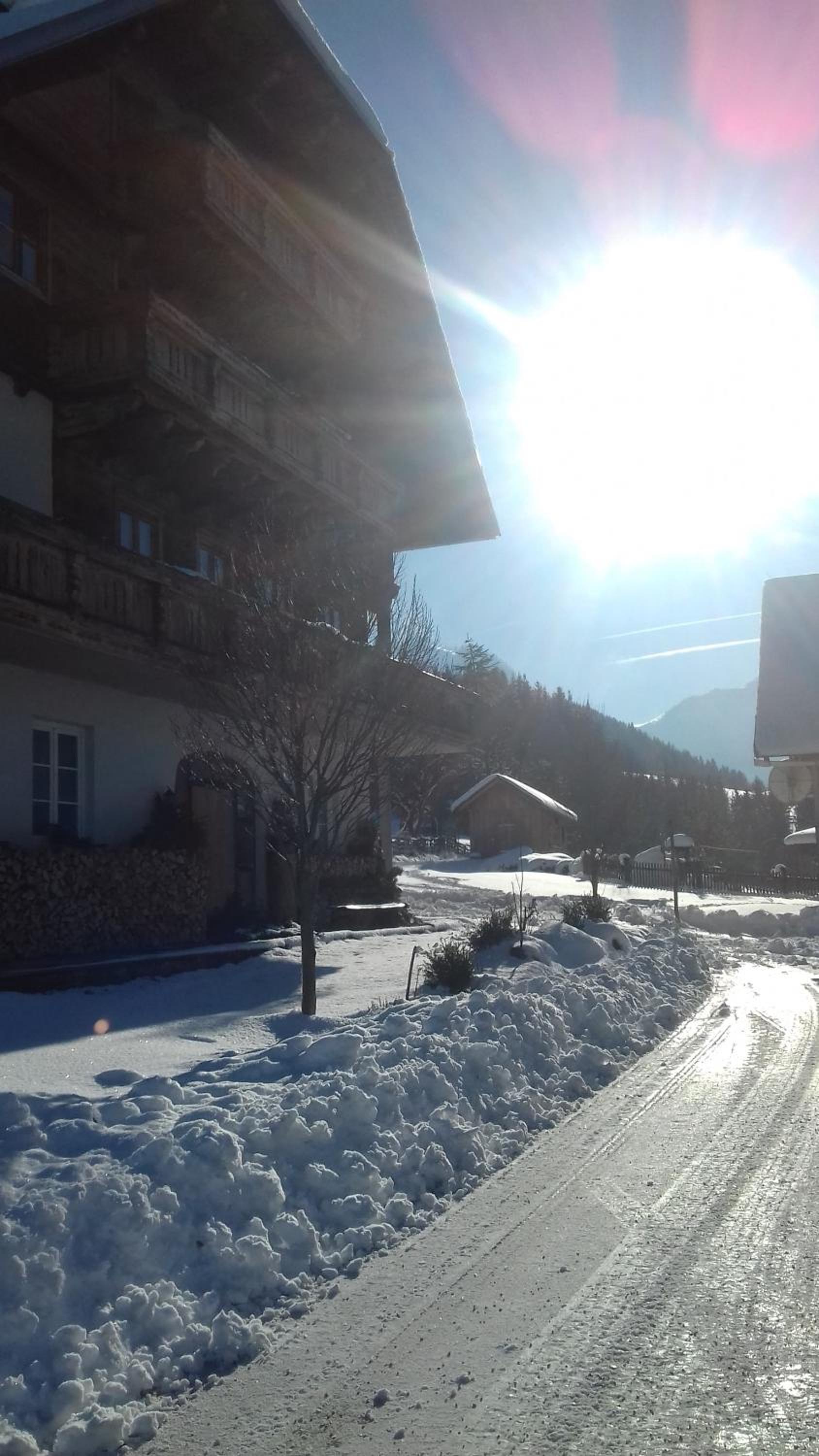 Photo 42