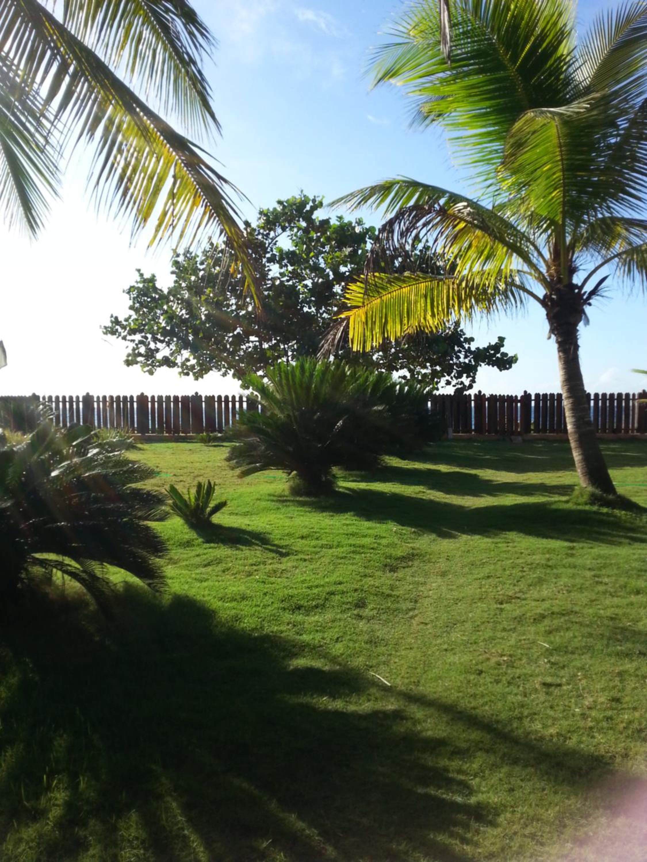 Photo 40
