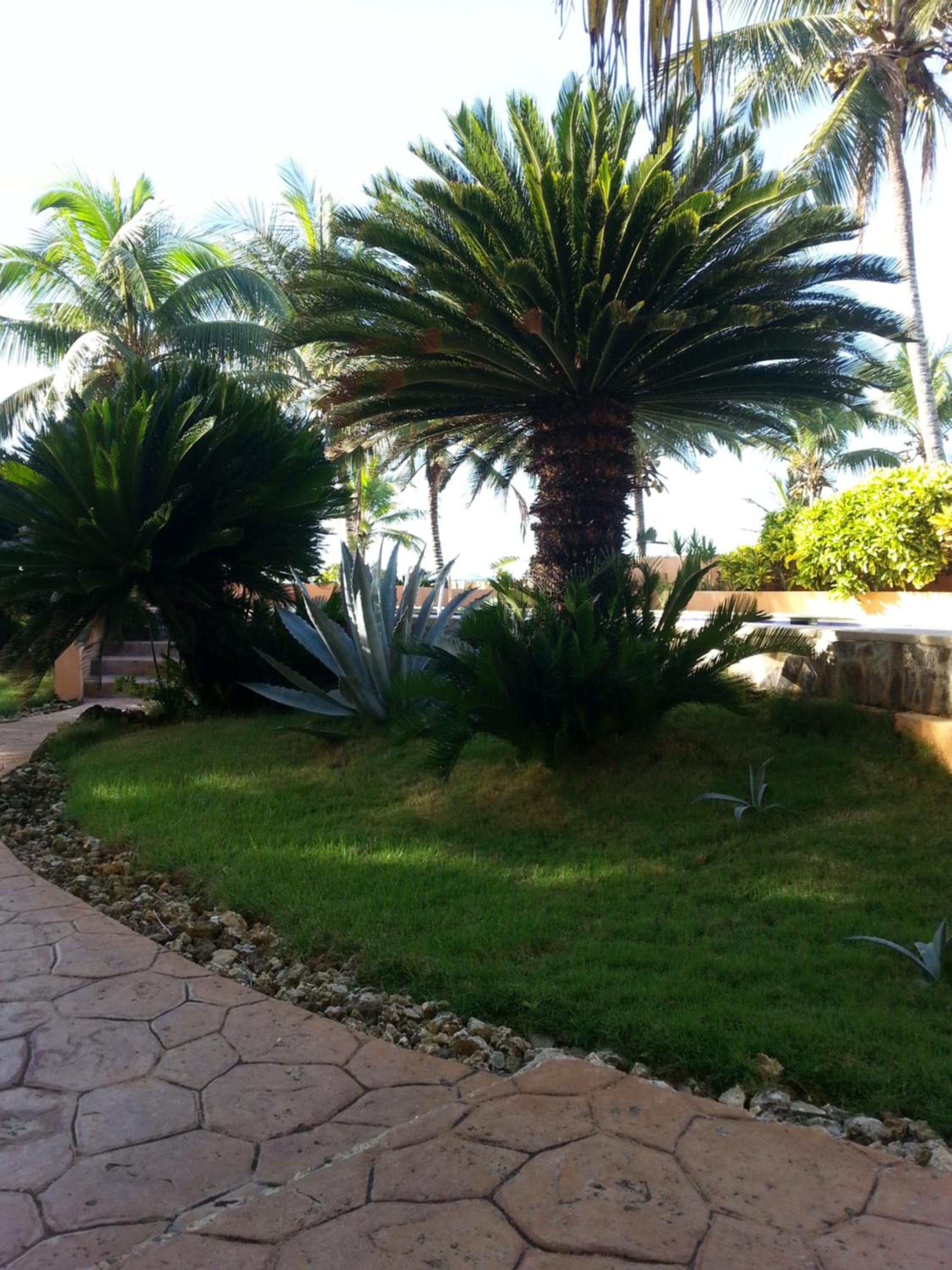 Photo 37