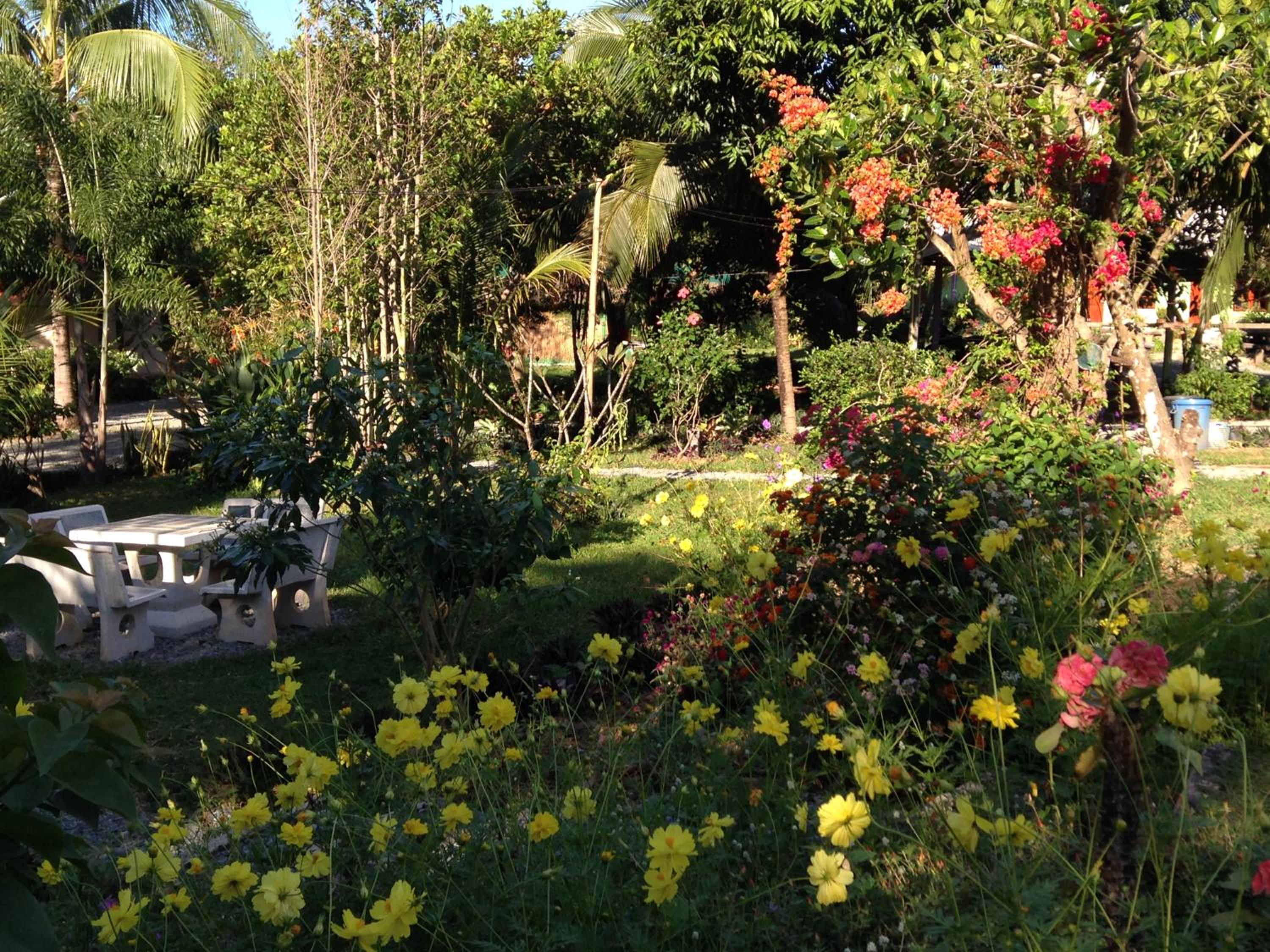 Areeya Resort