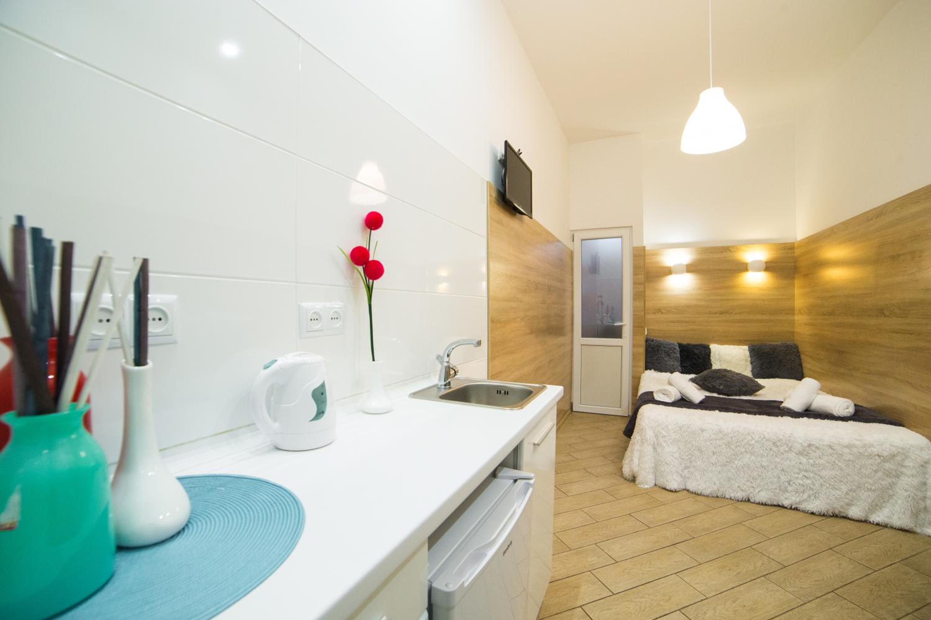 Mini Economy apartments- Filatova 10 view 3