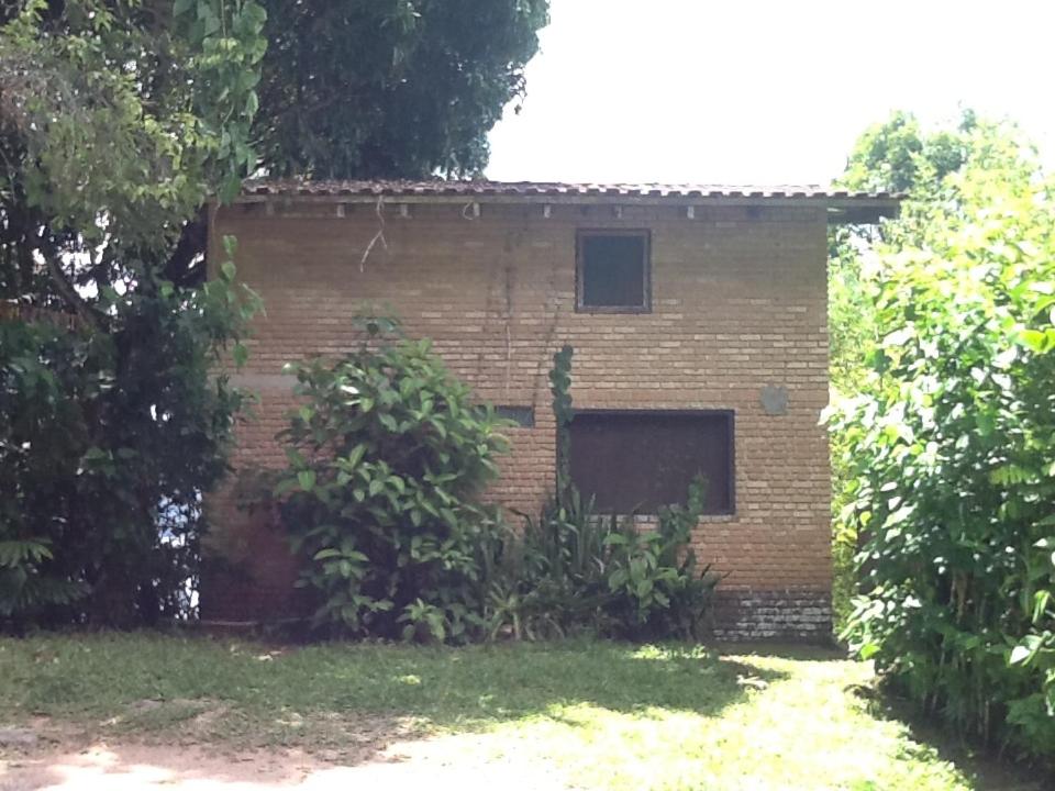 Aguazuis