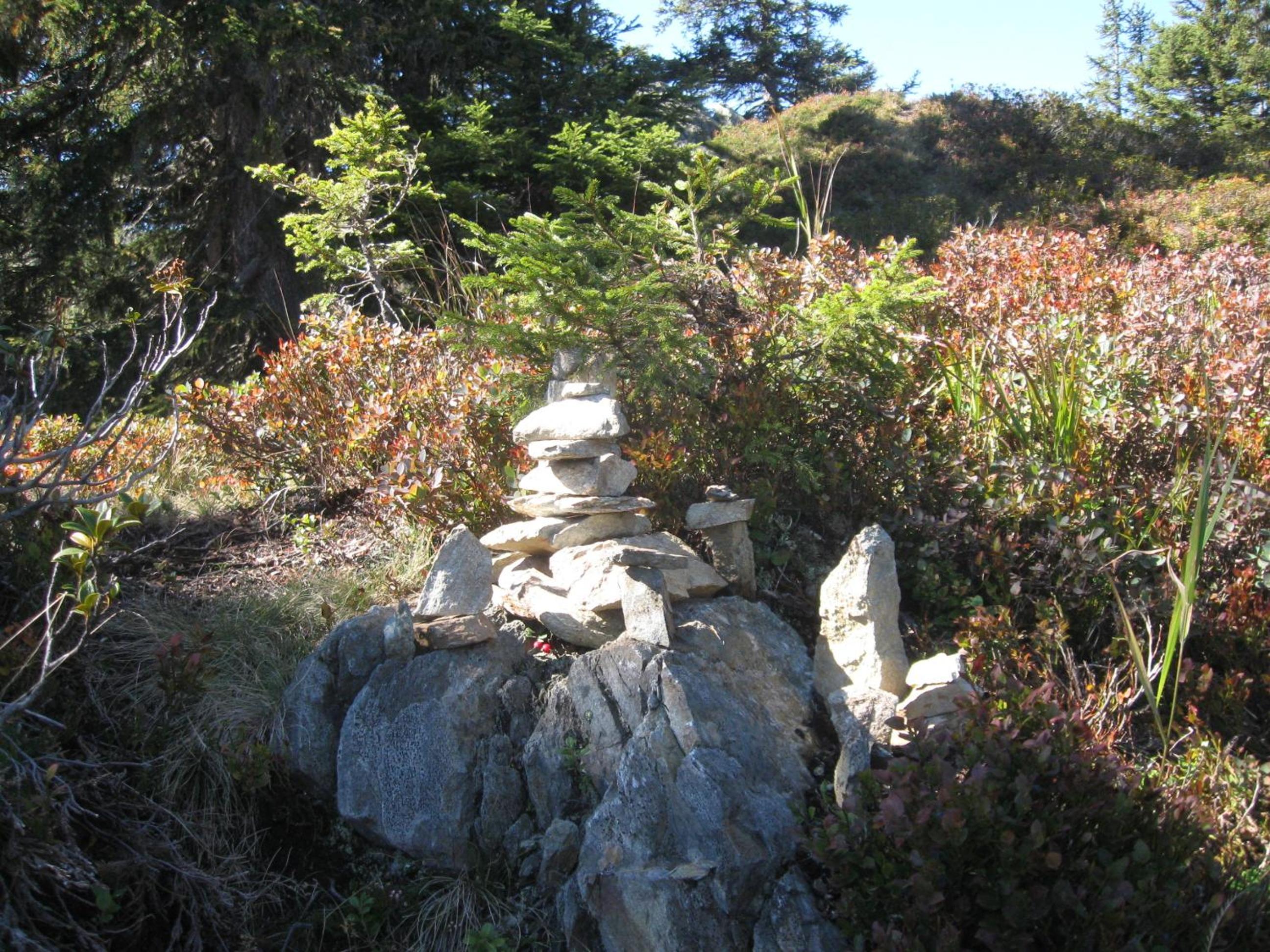 Photo 12