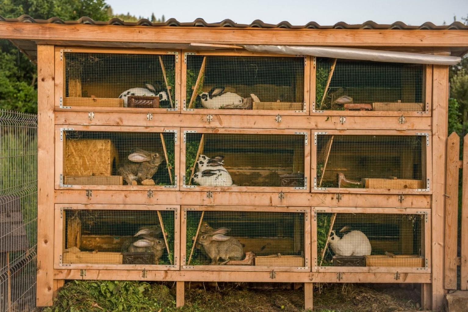 Casa Gotika, photo 27