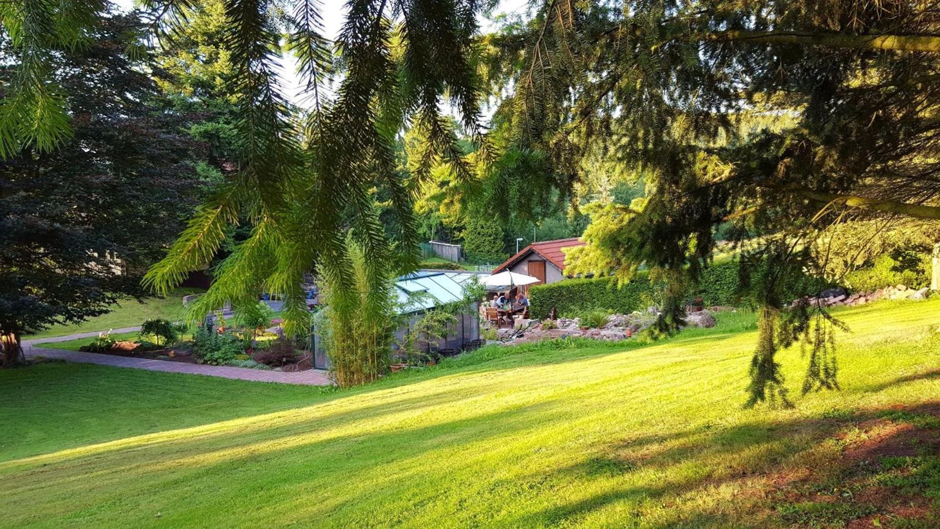 Moderne Komfortwohnung im Kurort am Rennsteig