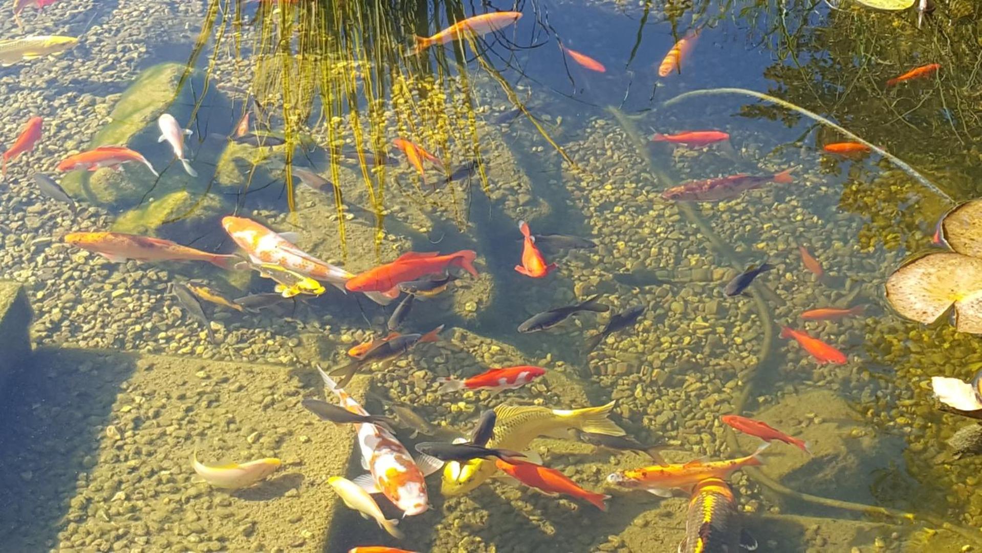 Moderne Komfortwohnung im Kurort am Rennsteig