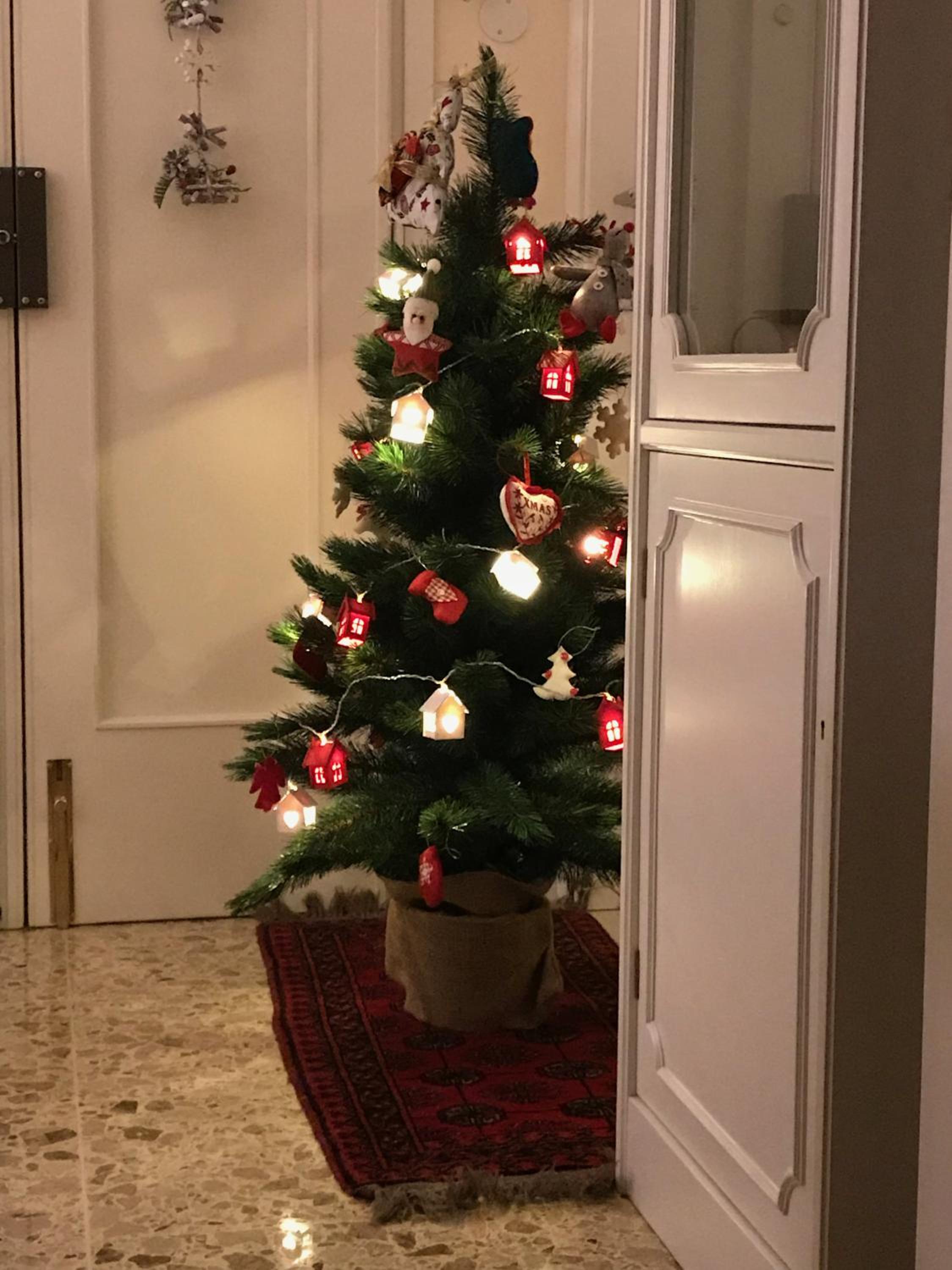 Photo 31