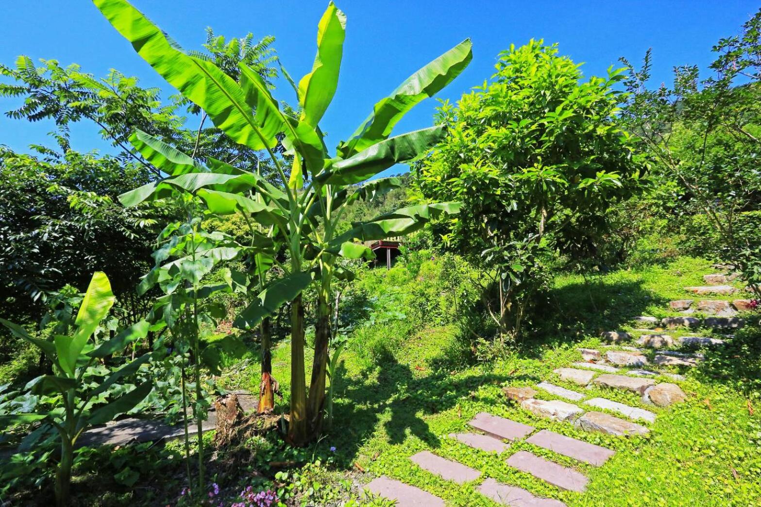 Locasu
