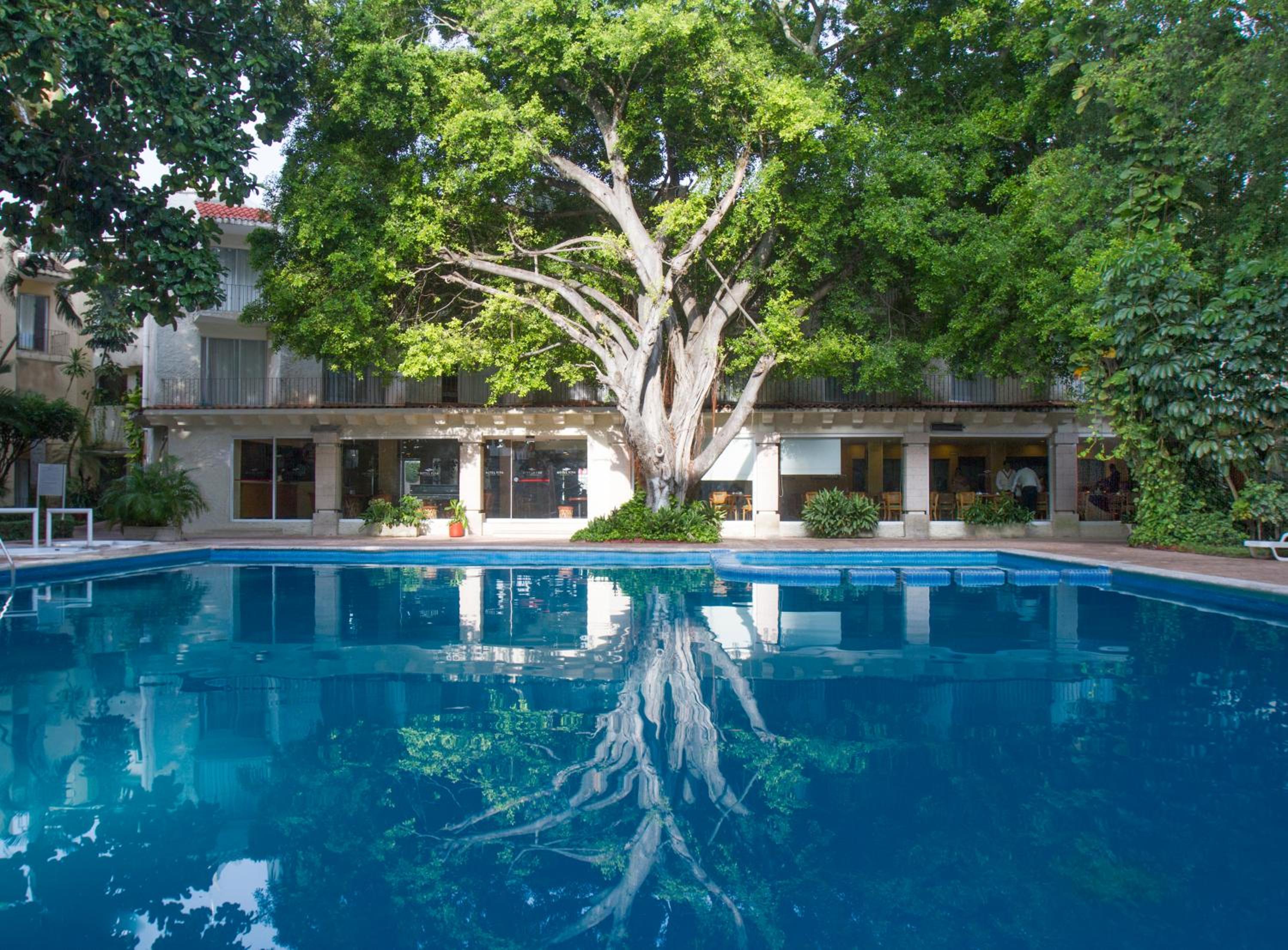 Villahermosa Vacations - Hotel Viva Villahermosa - Property Image 48