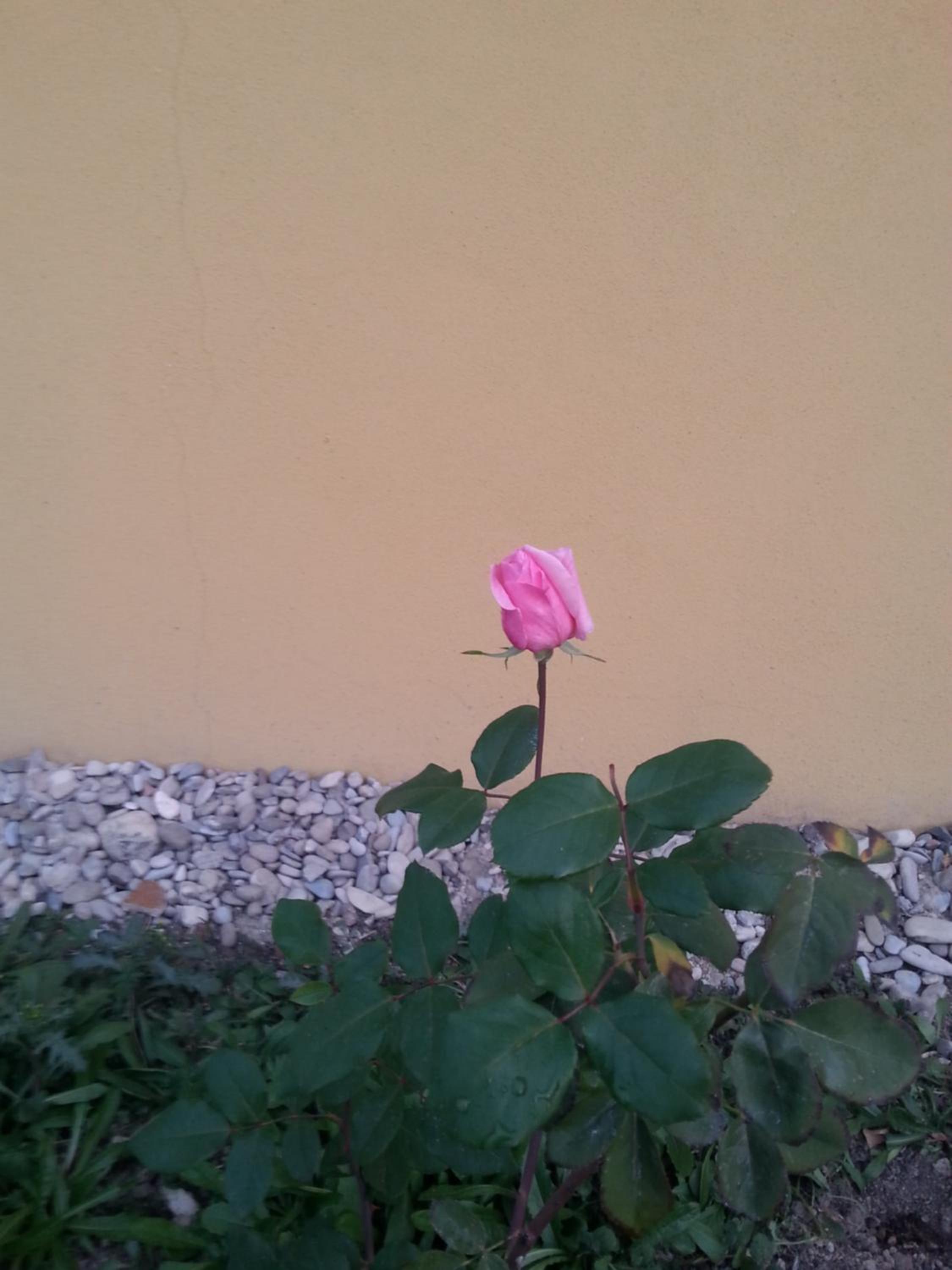 Photo 34