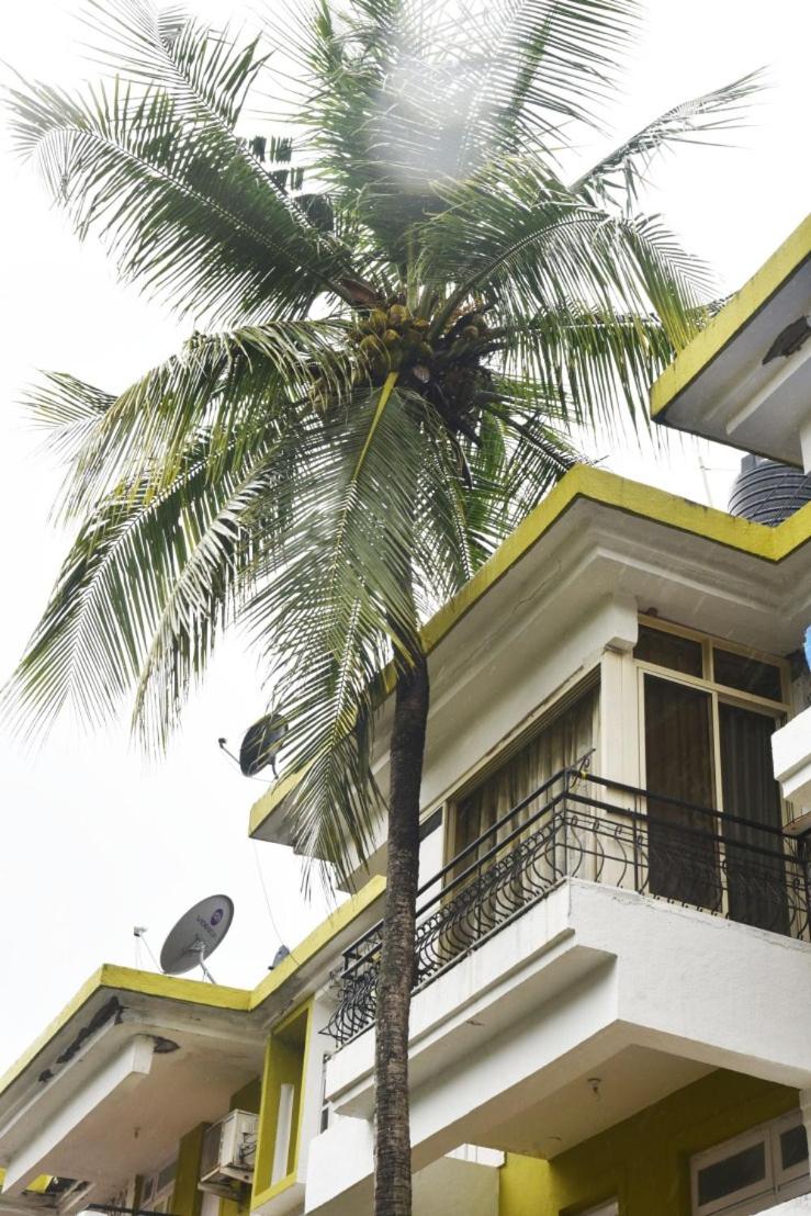 BEAUTIFUL SPACIOUS STUDIO APT IN CANDOLIM with Wifi view 5