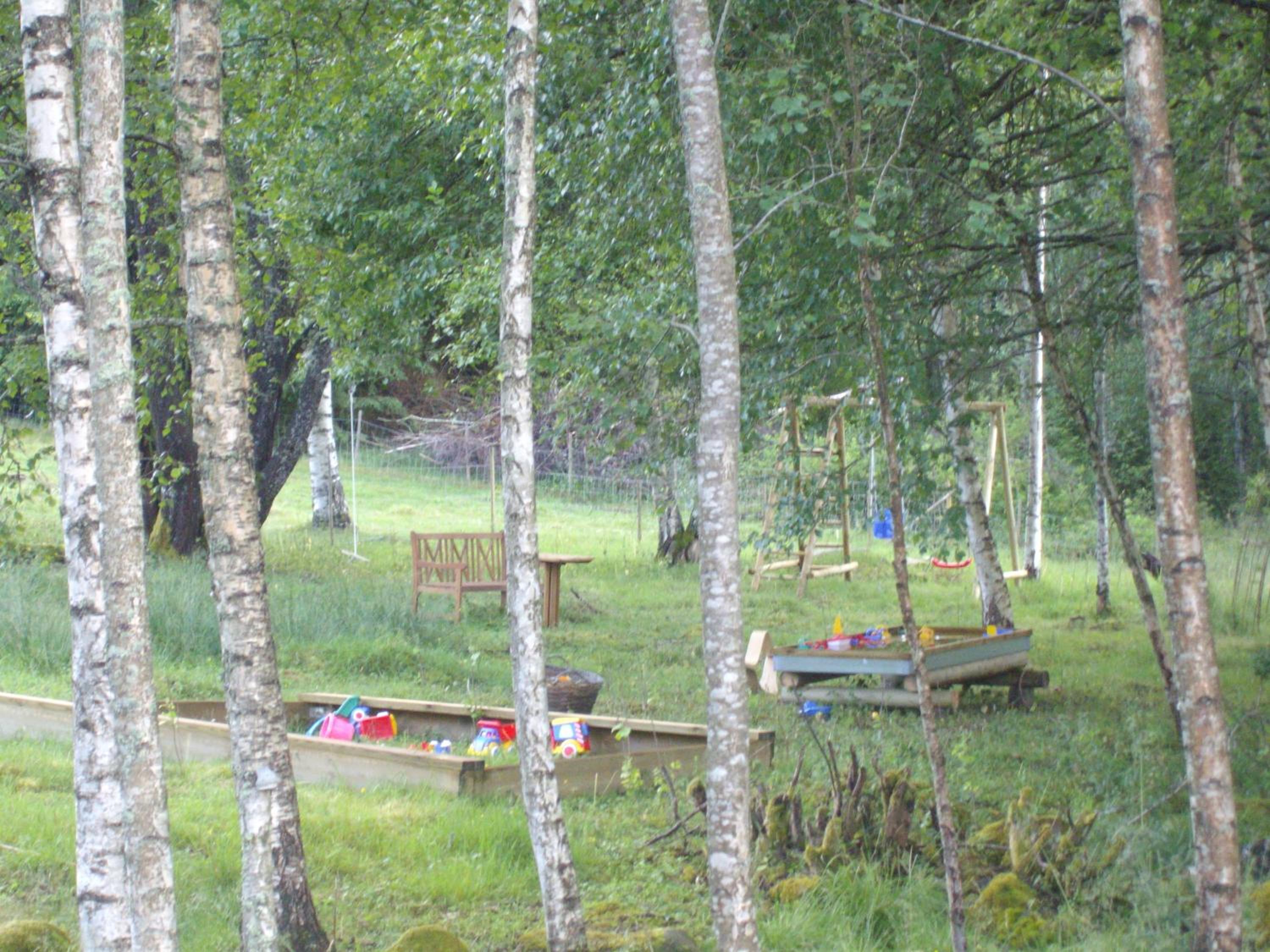 Photo 43