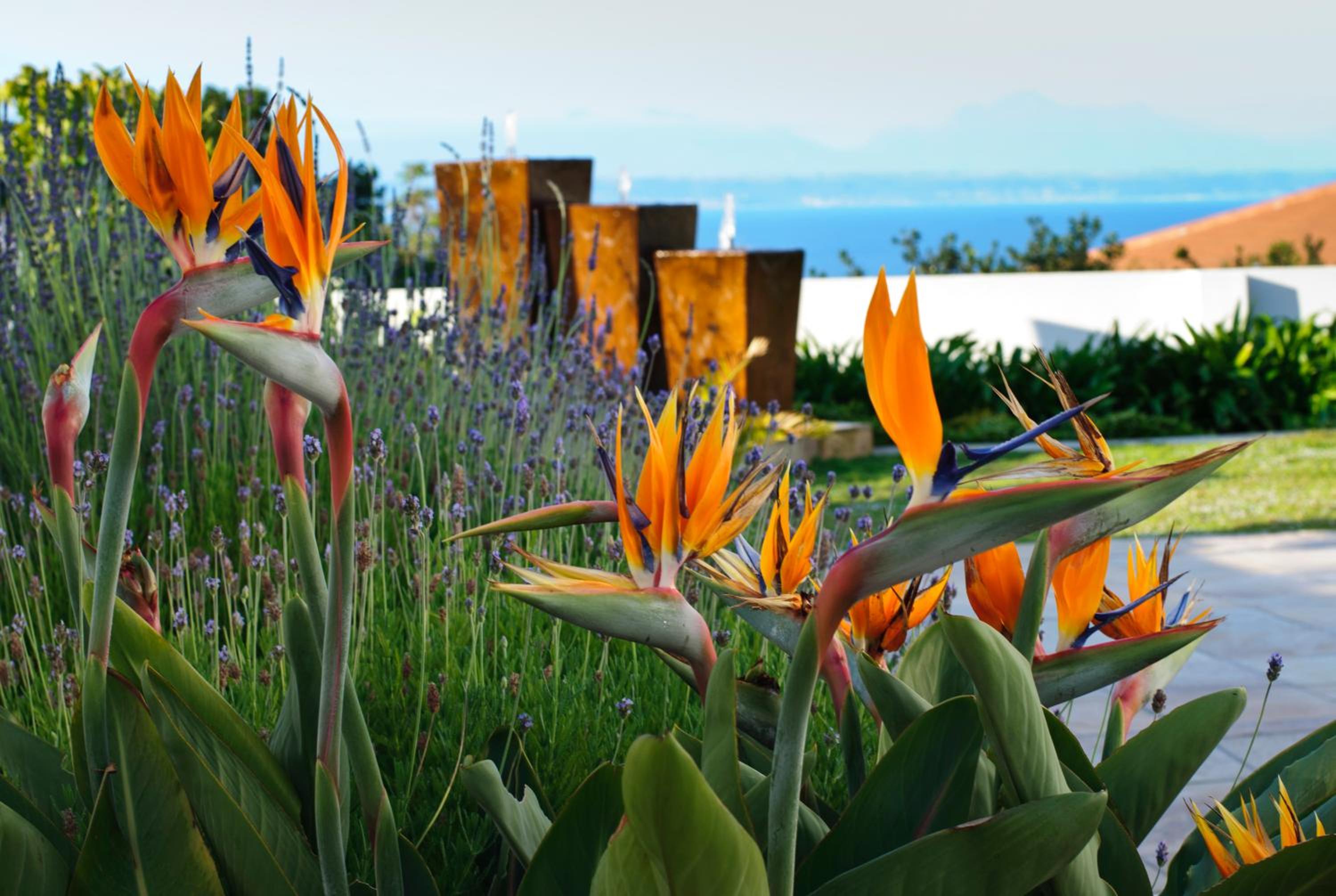 Aquamarine Guest House
