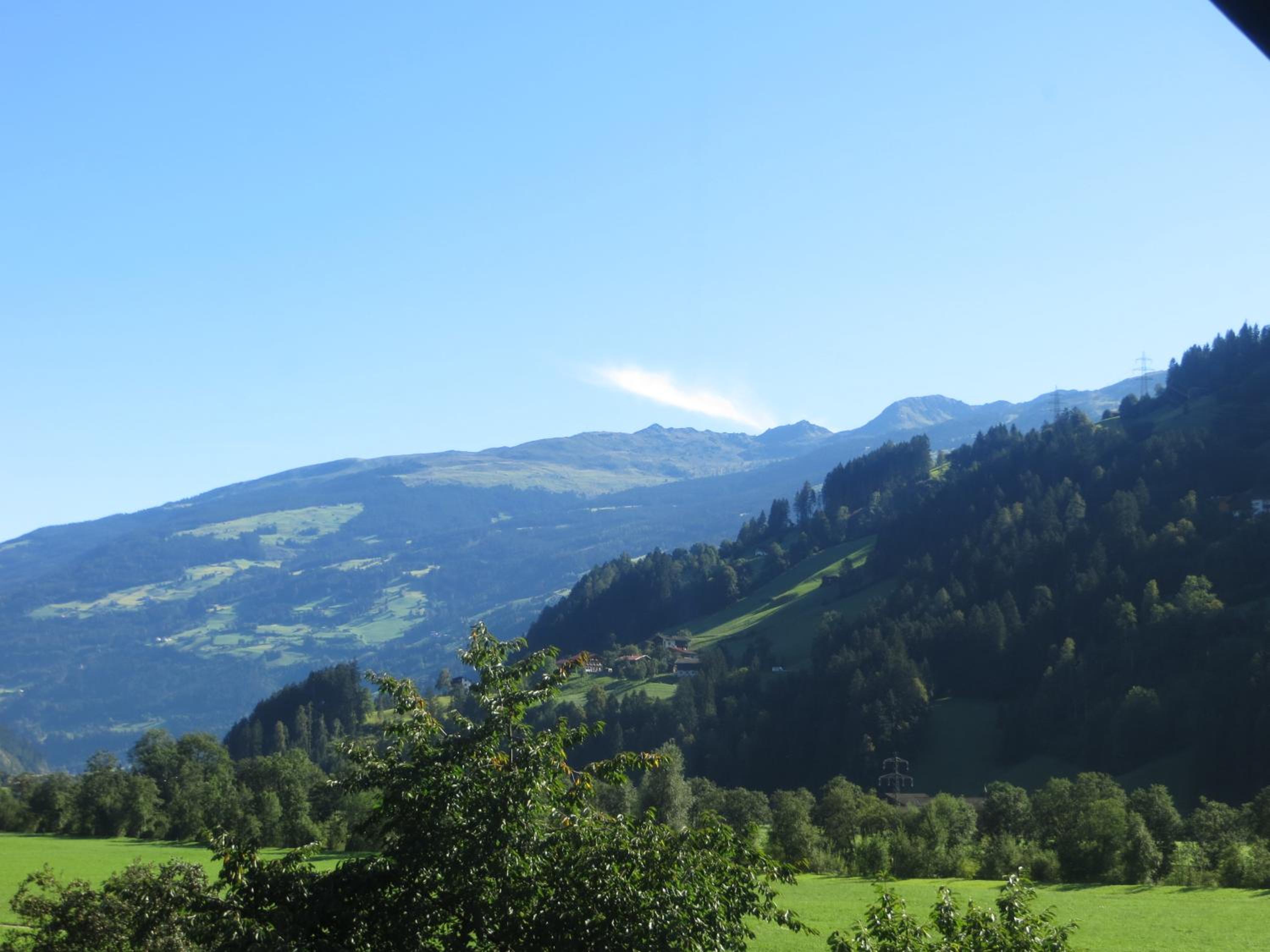 Photo 44