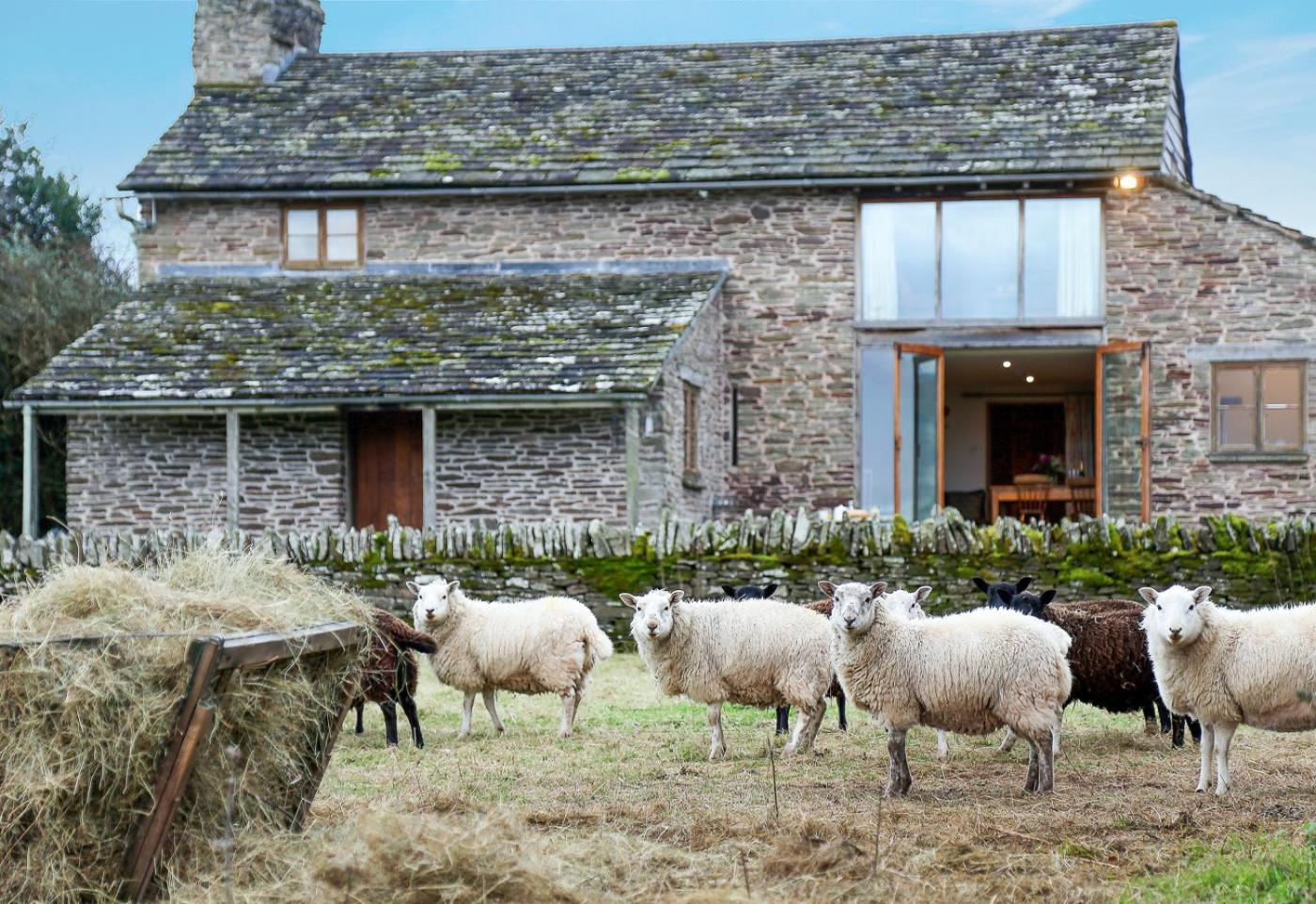 Drovers Rest Farm Stay view 3
