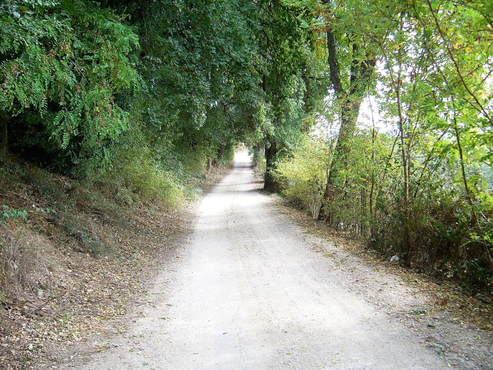 Photo 31