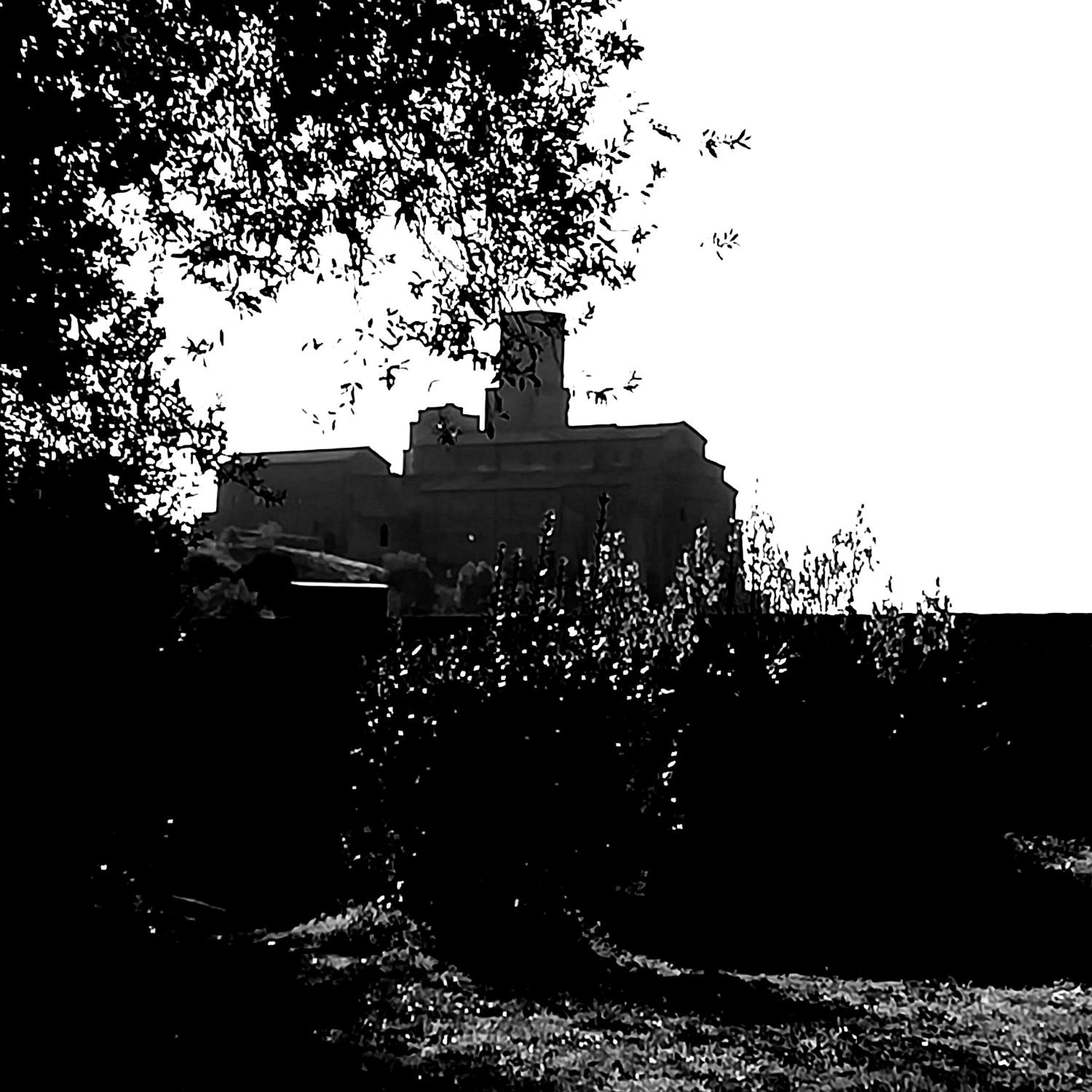 La Terrazza, photo 71