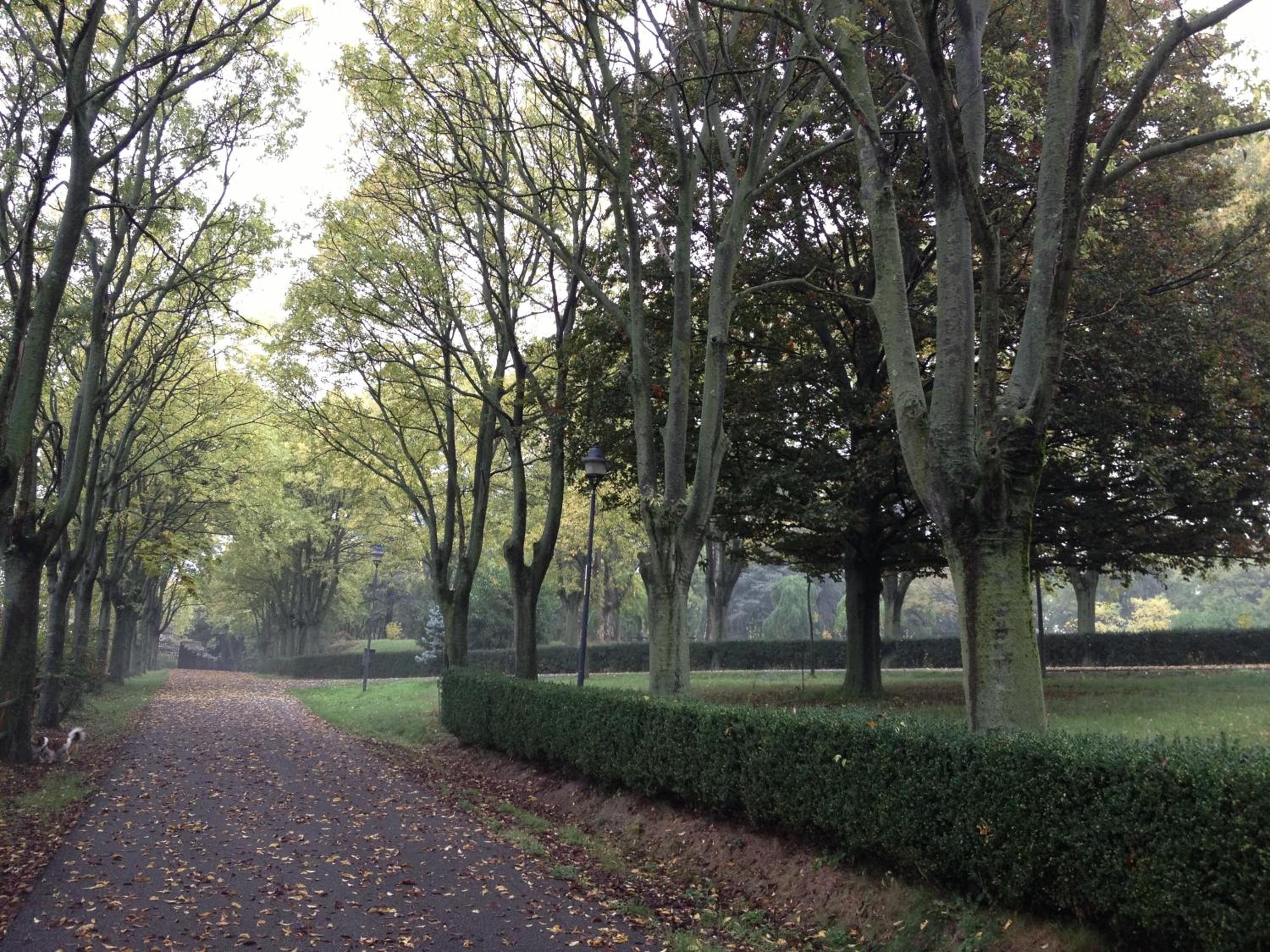 Photo 79