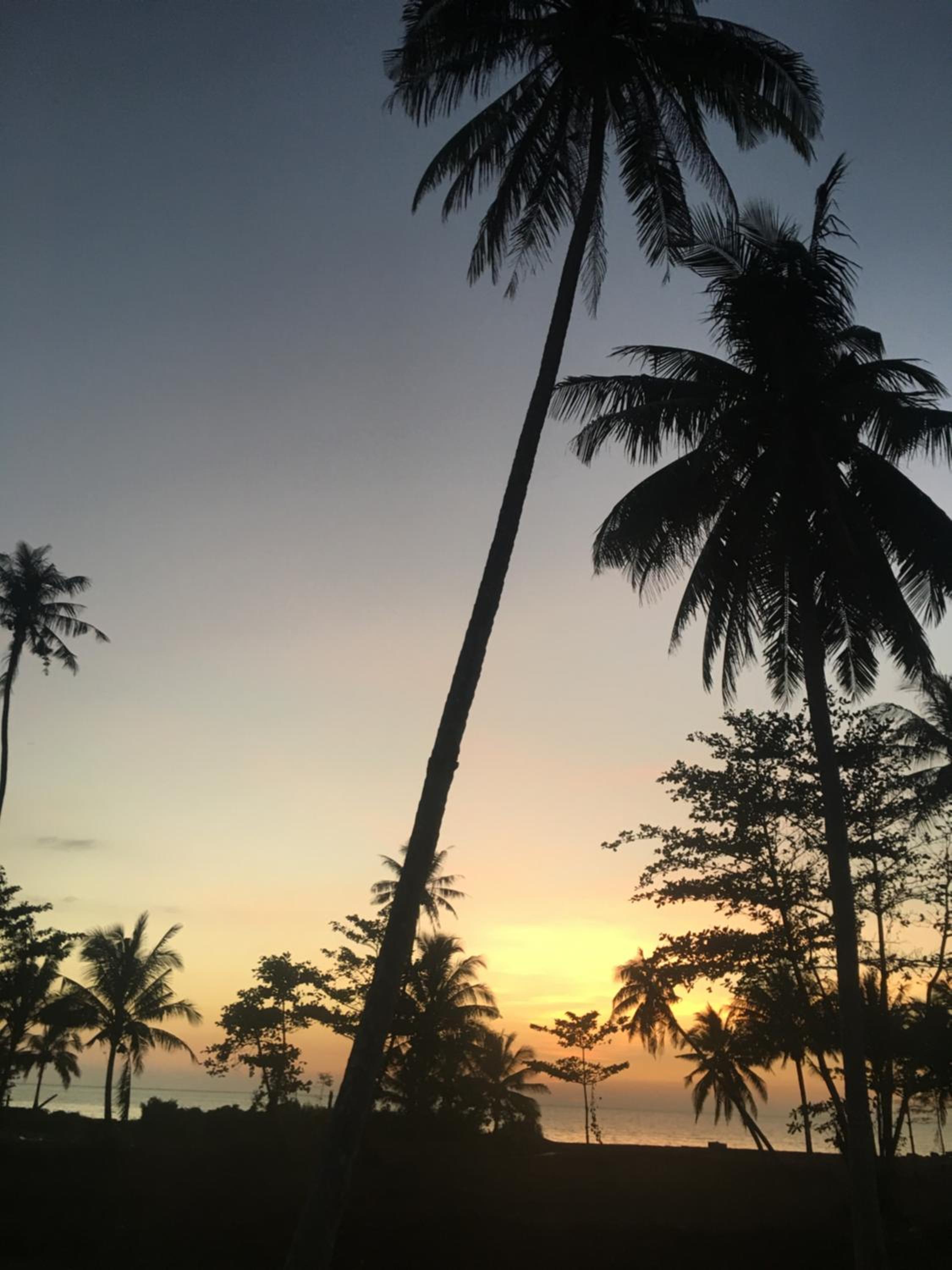 Sleep Soundly By The Sea
