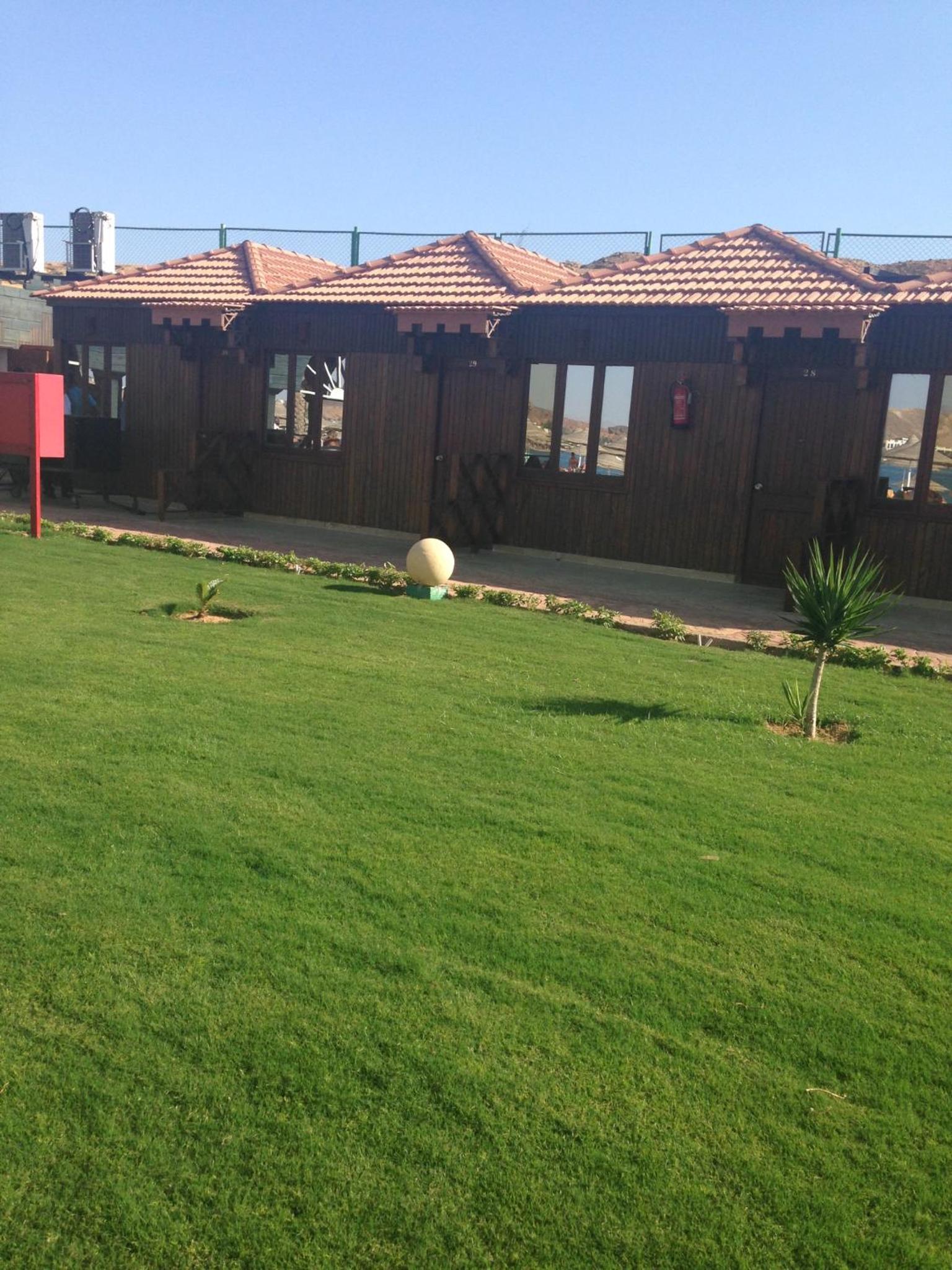Photo 38
