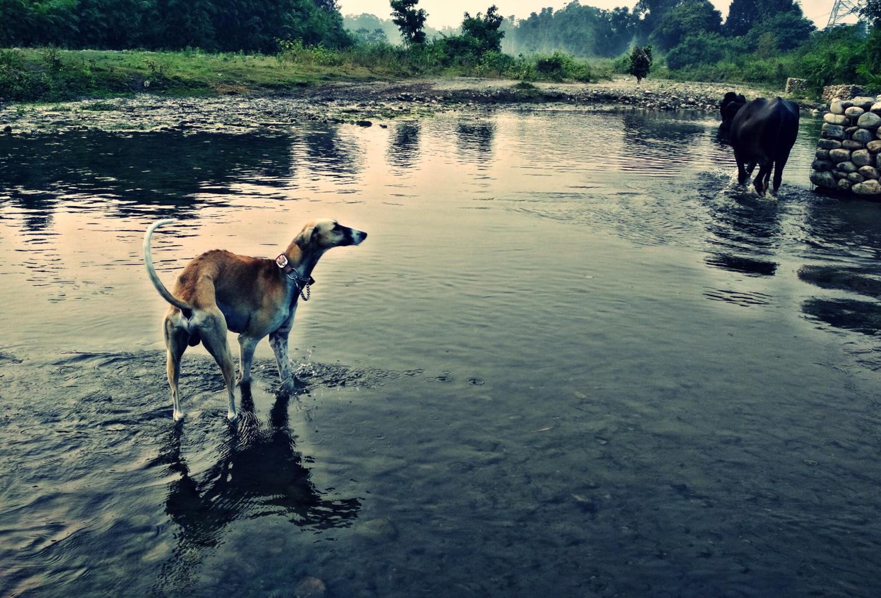 Photo 44