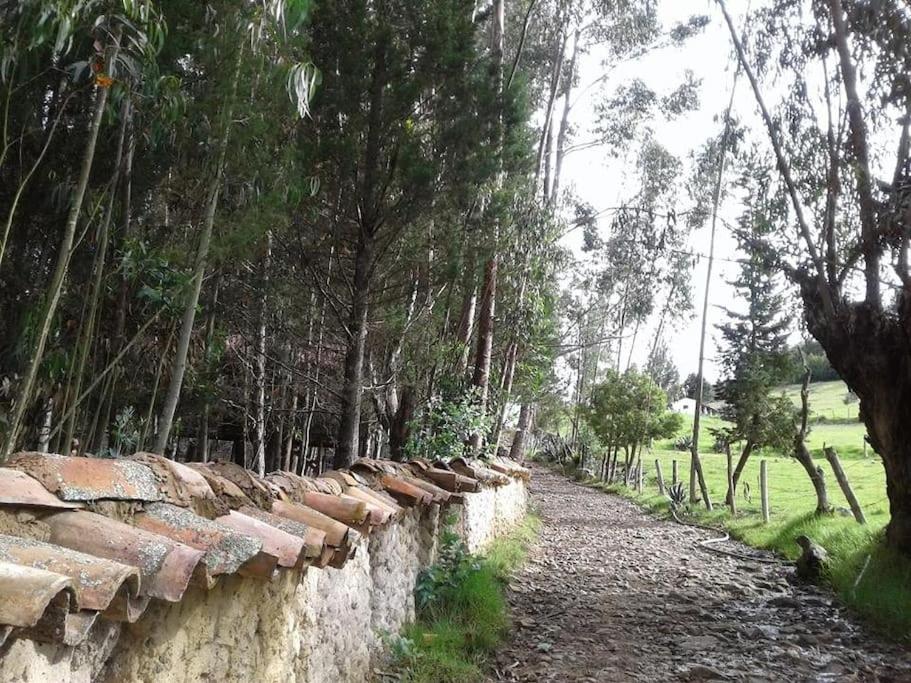 Despierta En El Árbol Desayuno Americano a tu ritmo somos Petfriendly
