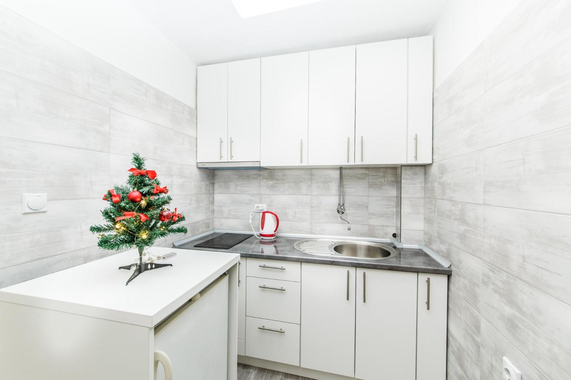 Apartman Centar view 4