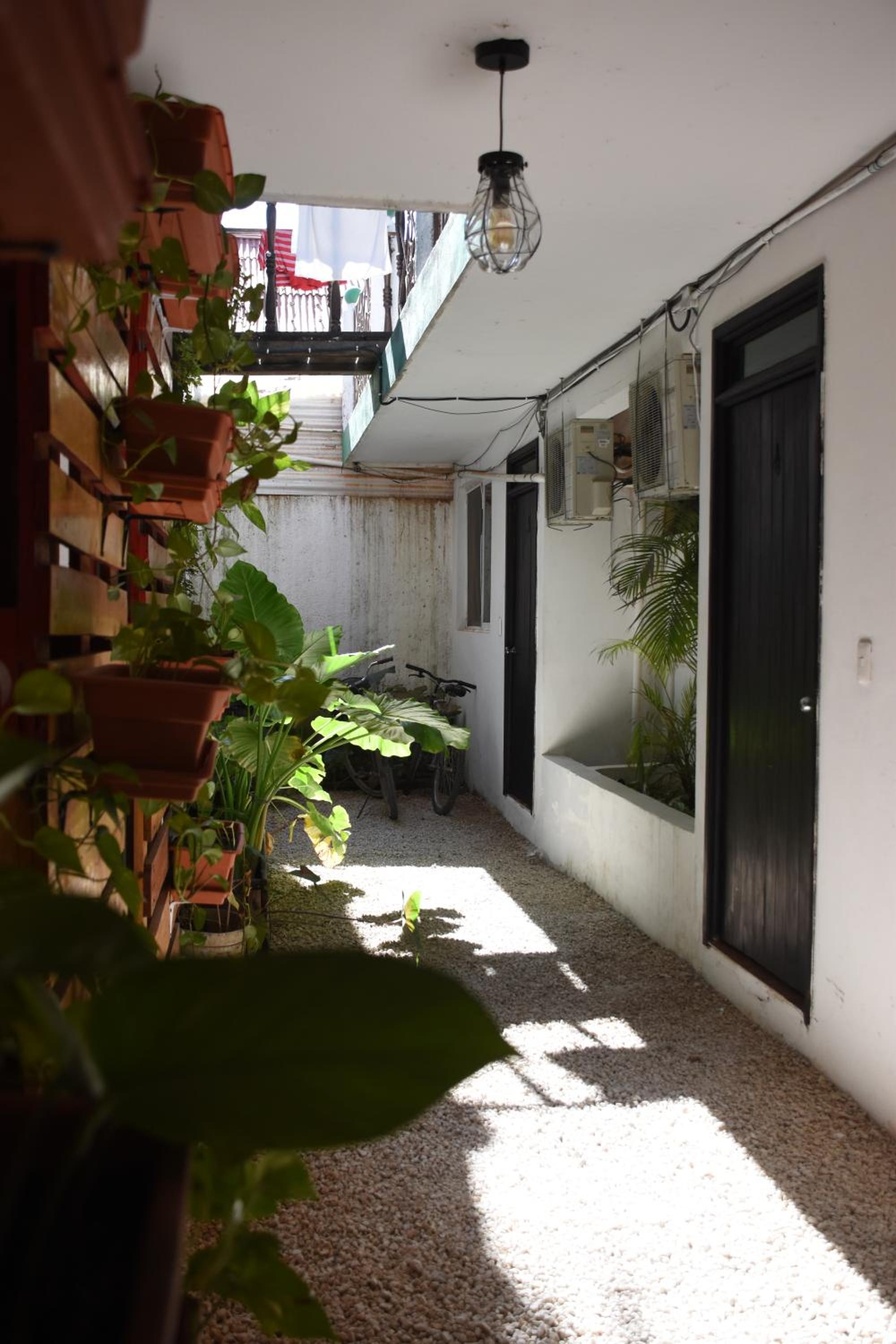 Photo 25