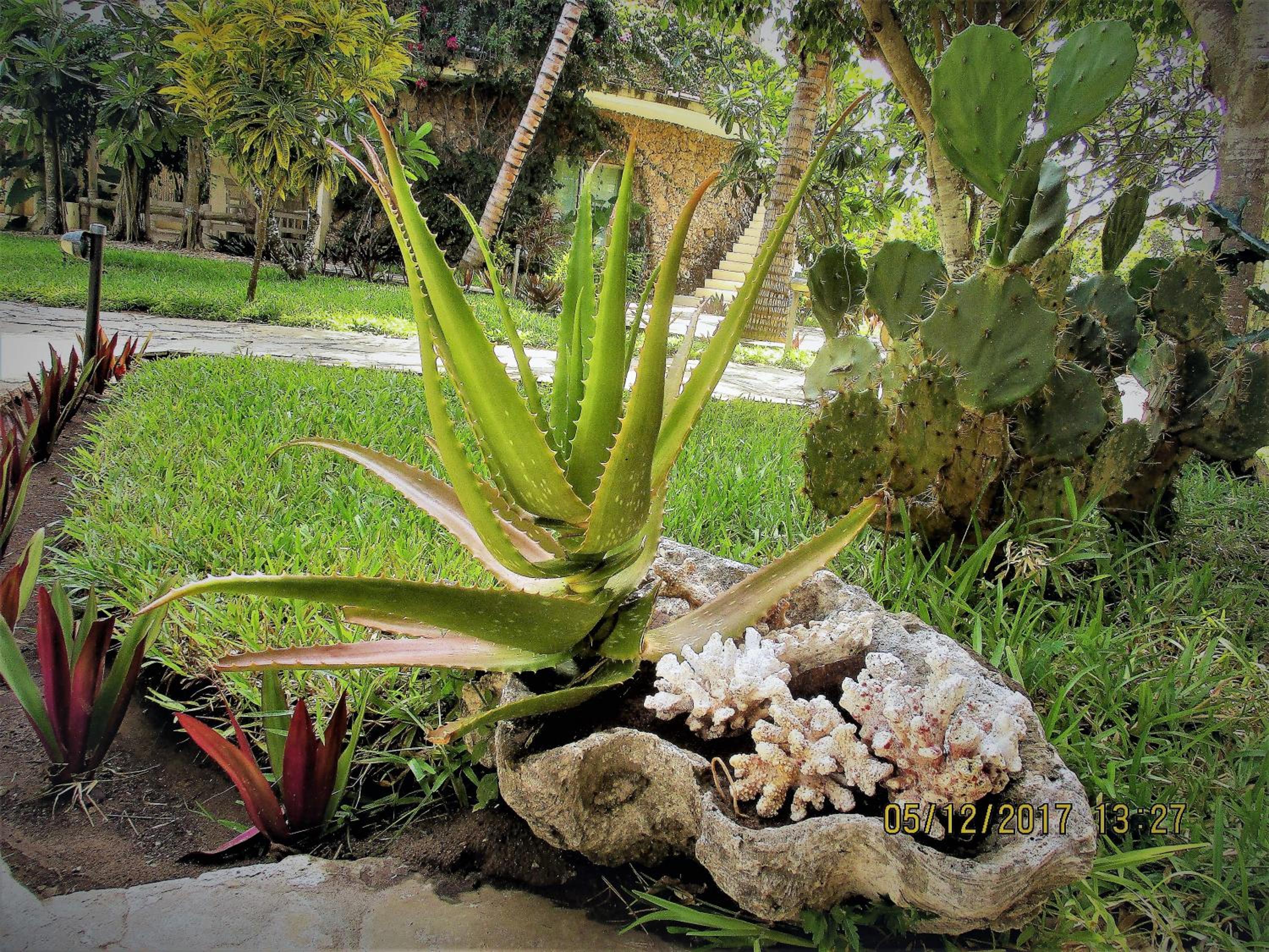 Lady D House Watamu view 2