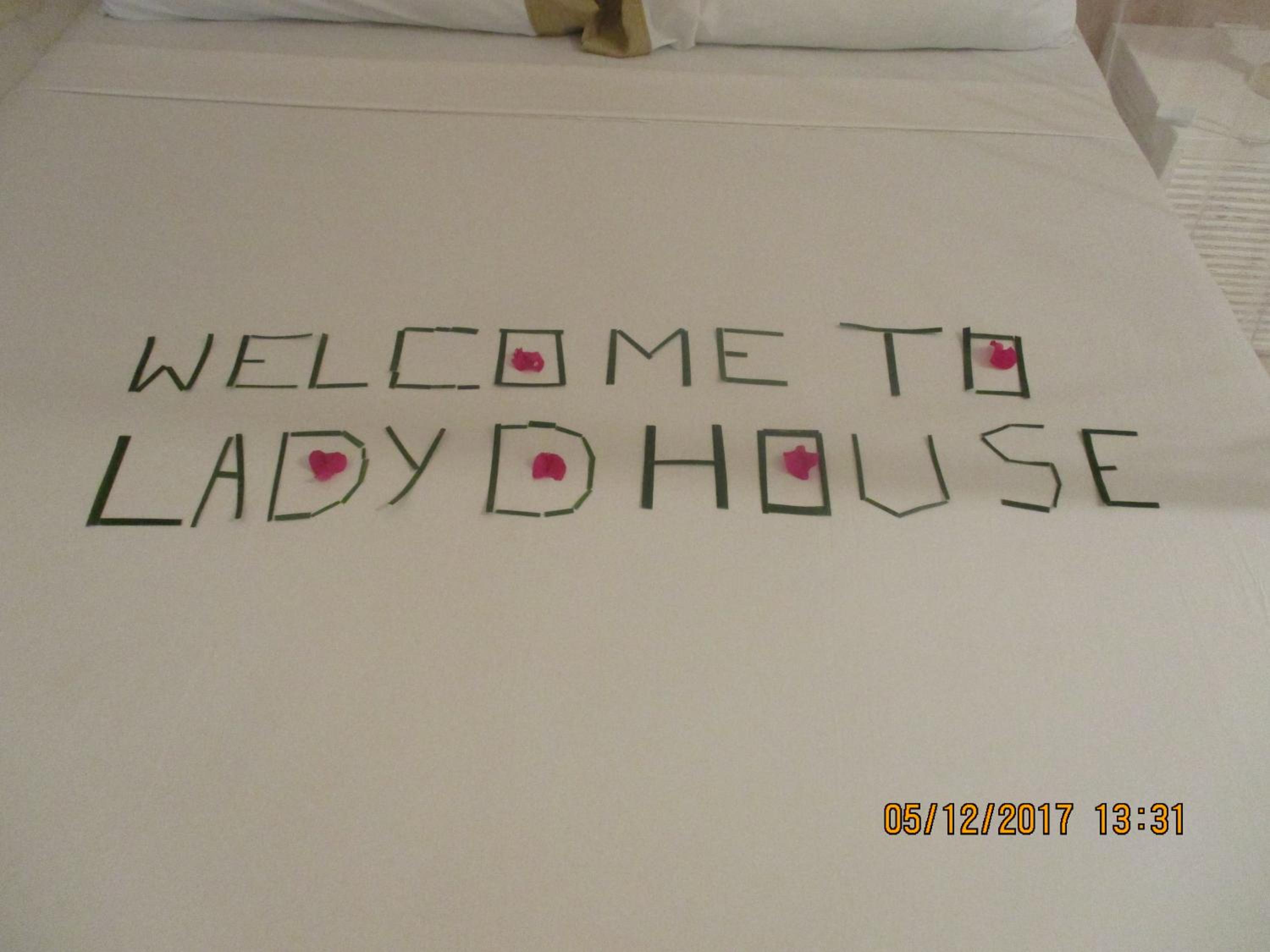 Lady D House Watamu view 3