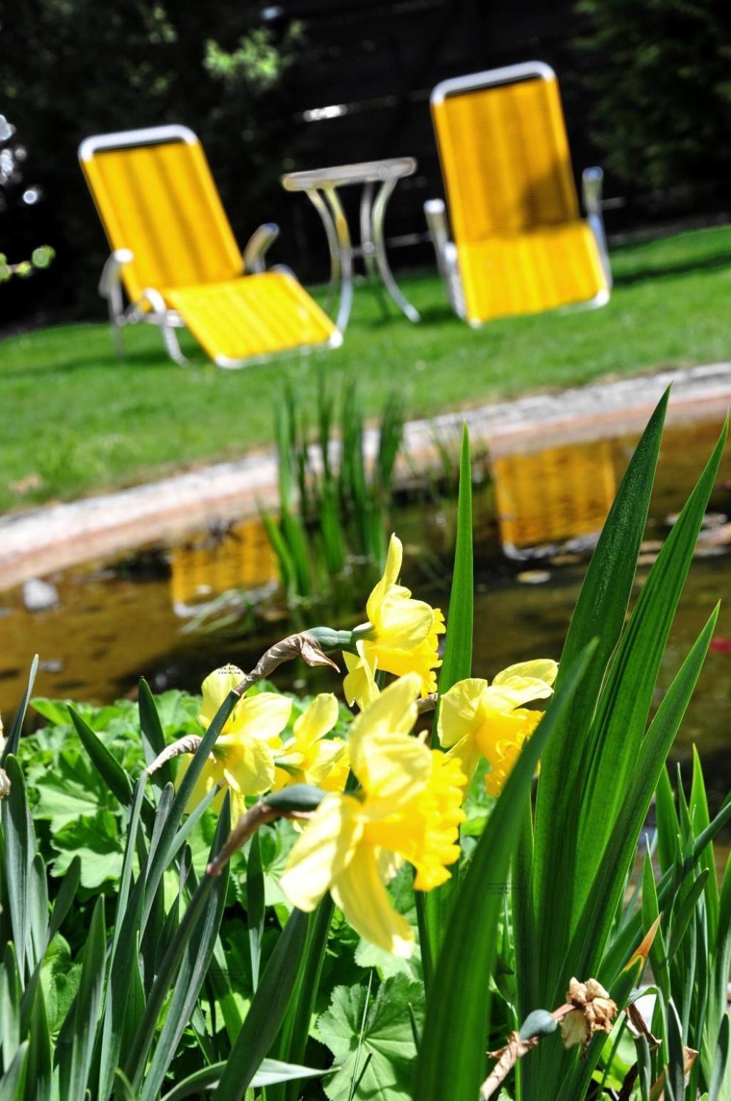Hotel Schick - Property Image 6
