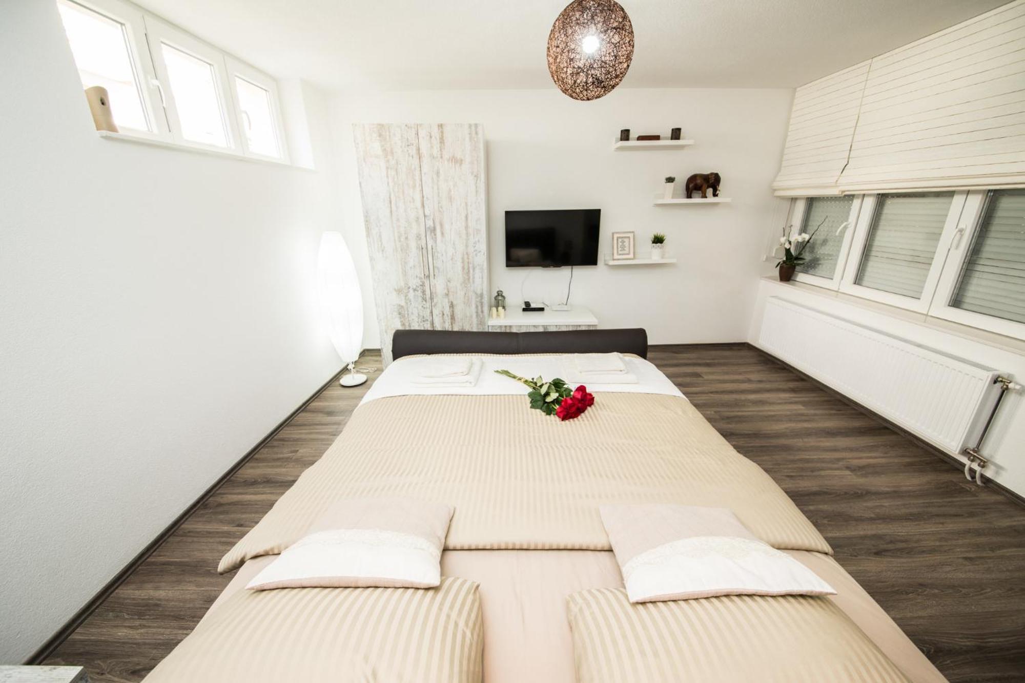 Studio apartman Centar