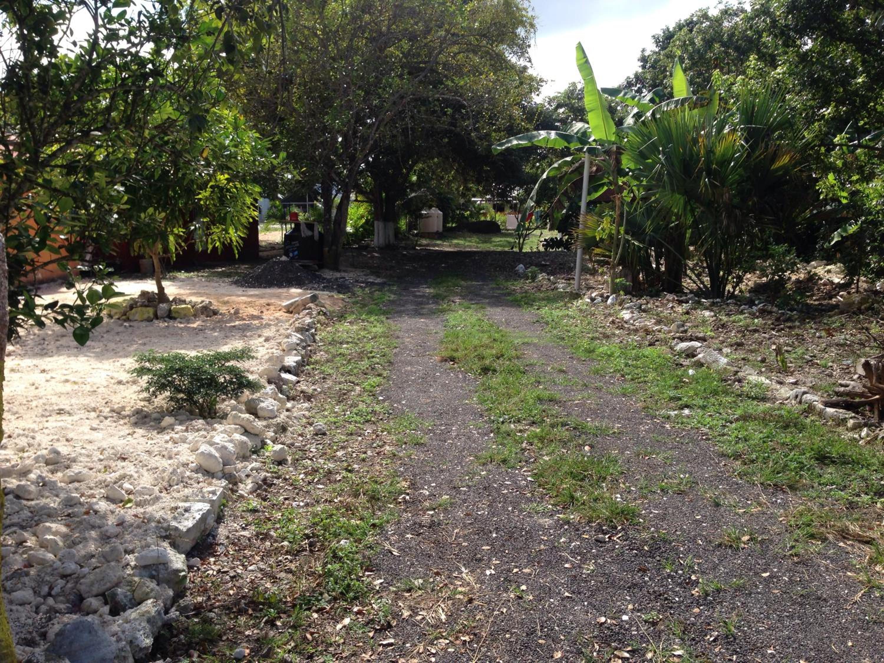 Photo 41