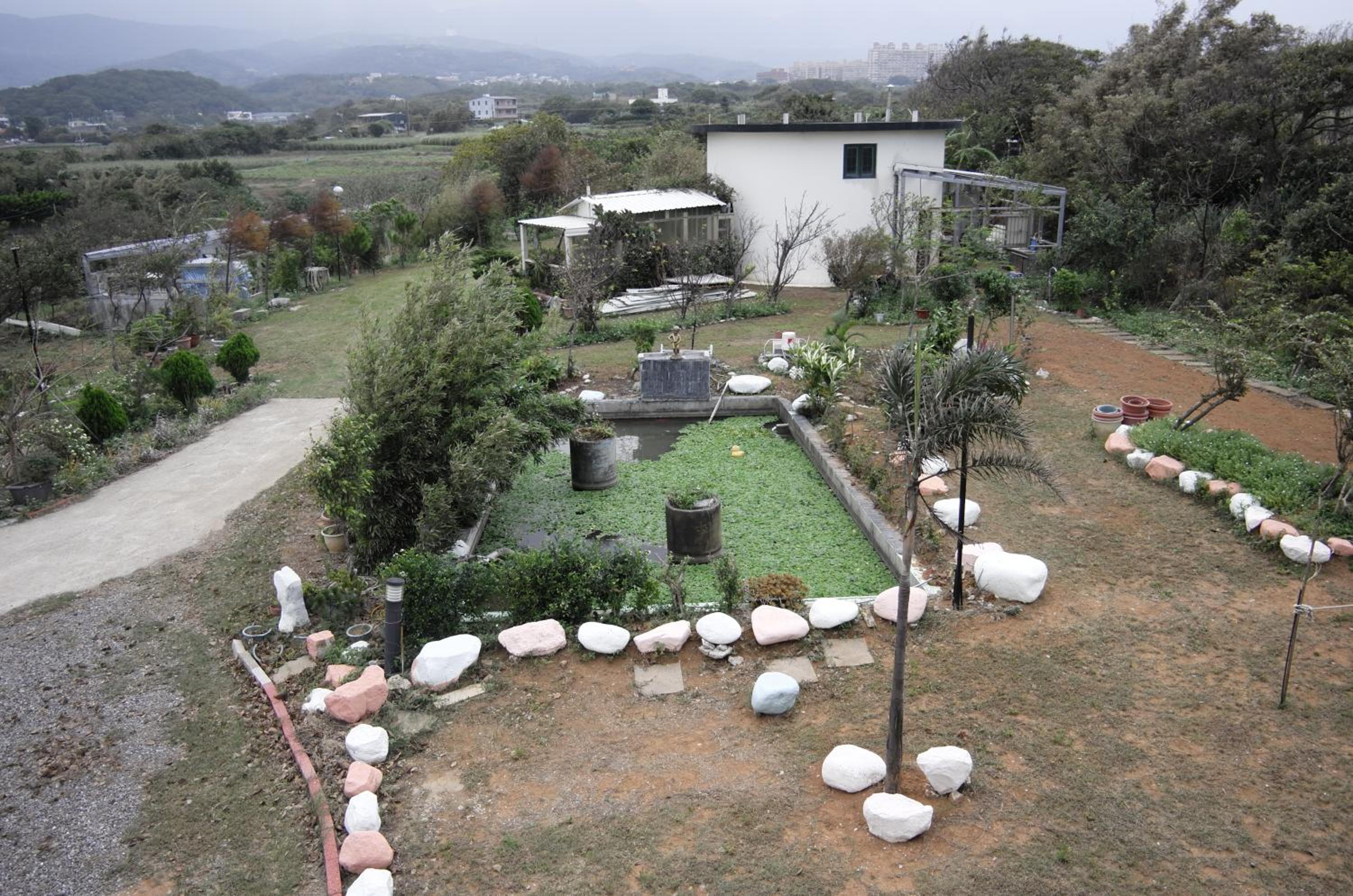 Photo 7