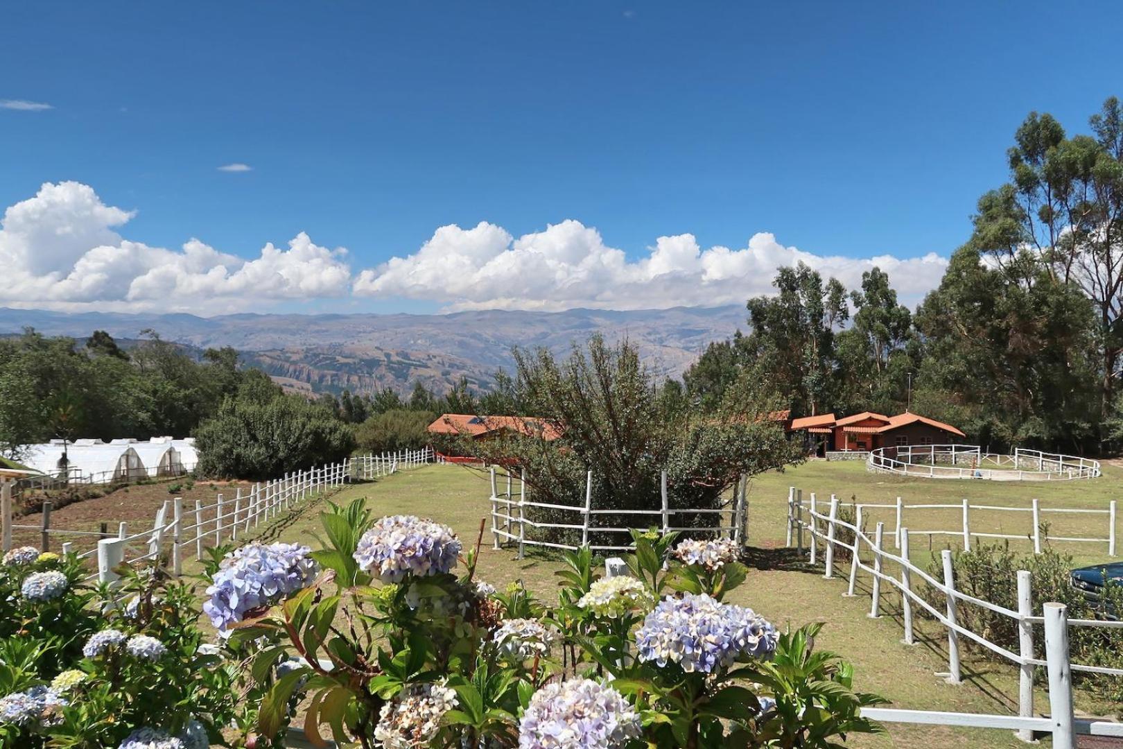 The Lazy Dog Inn a Mountain Lodge view 3