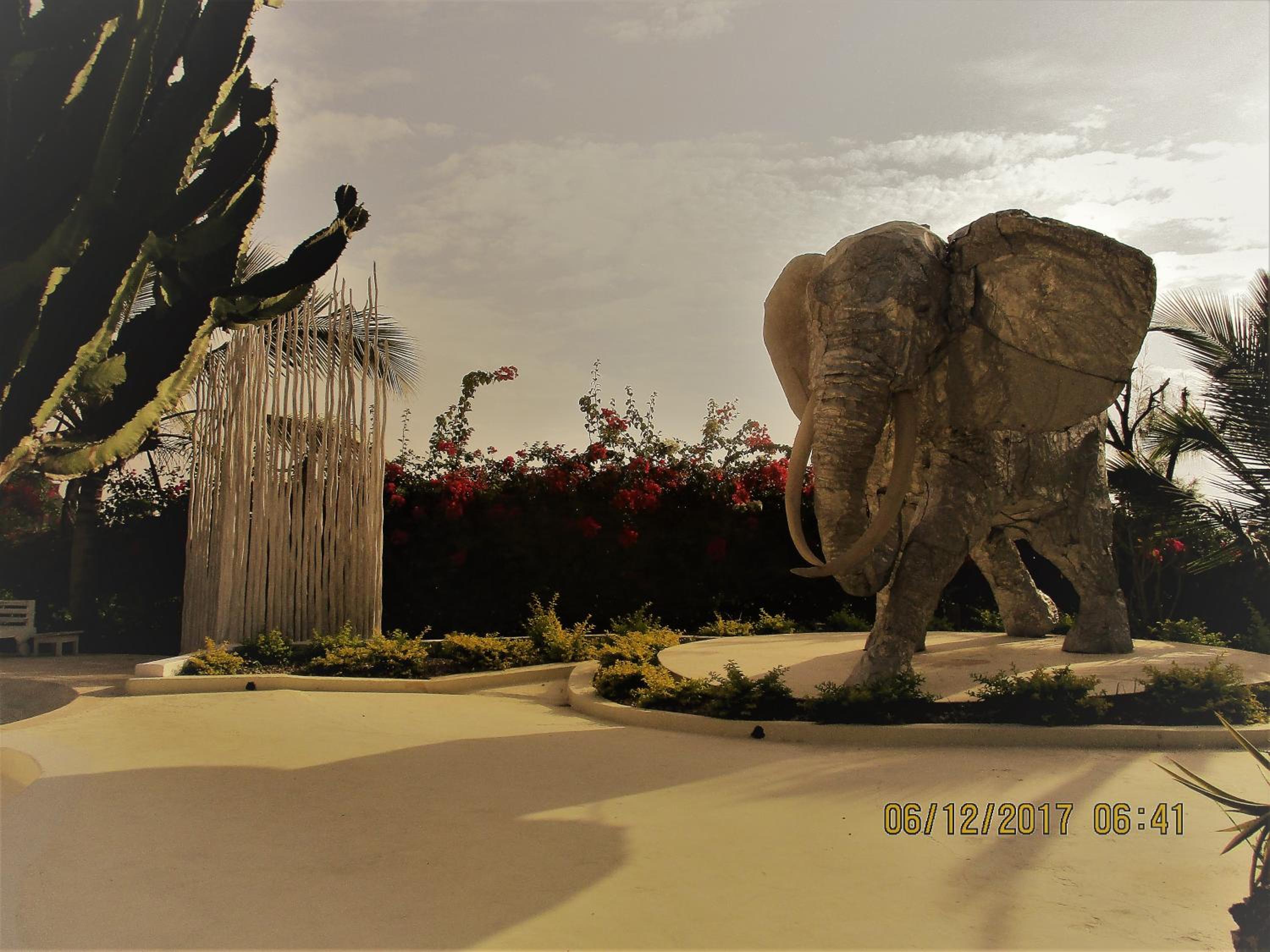 Photo 47