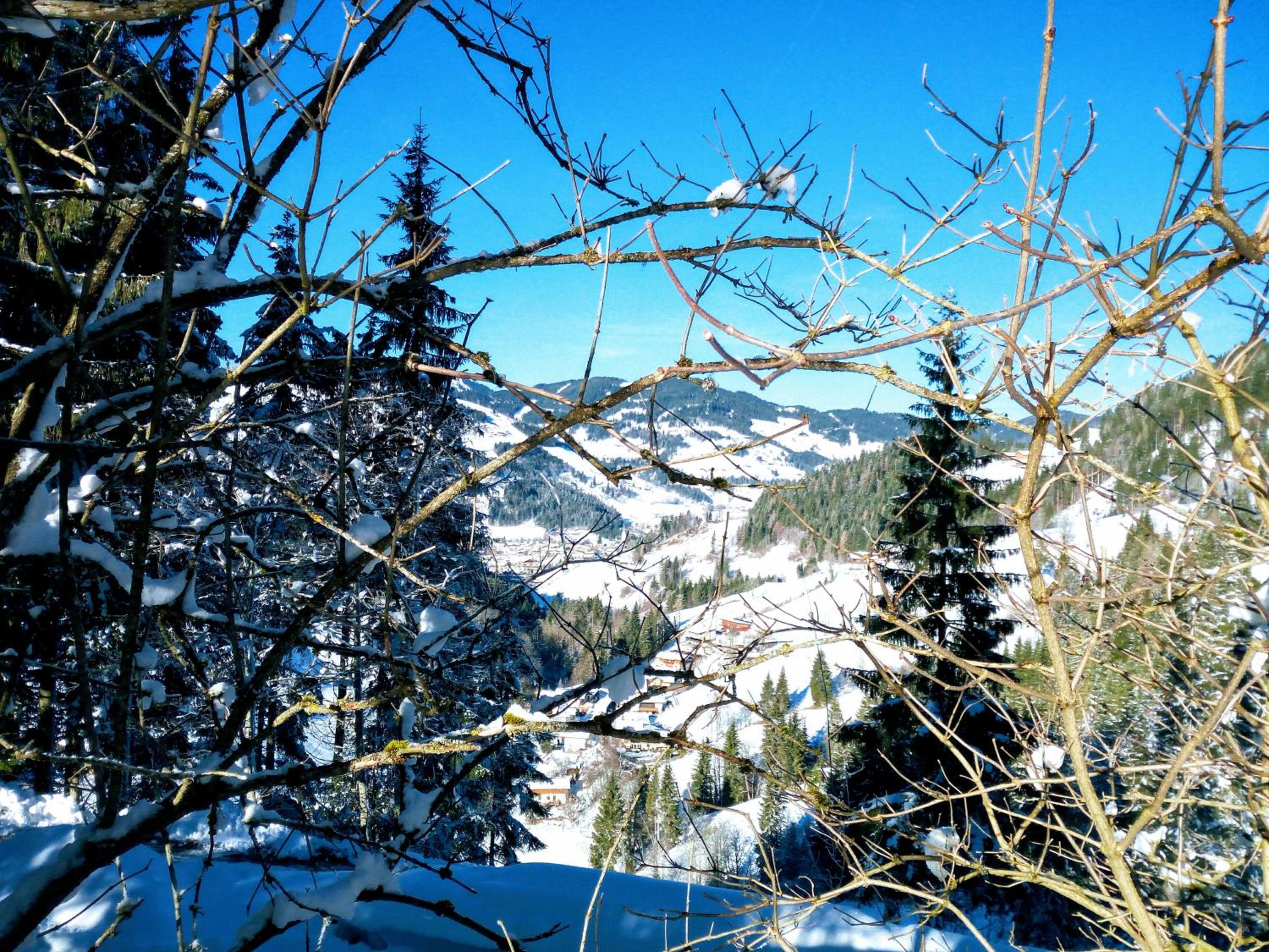 Pension Chalet Bergseegut